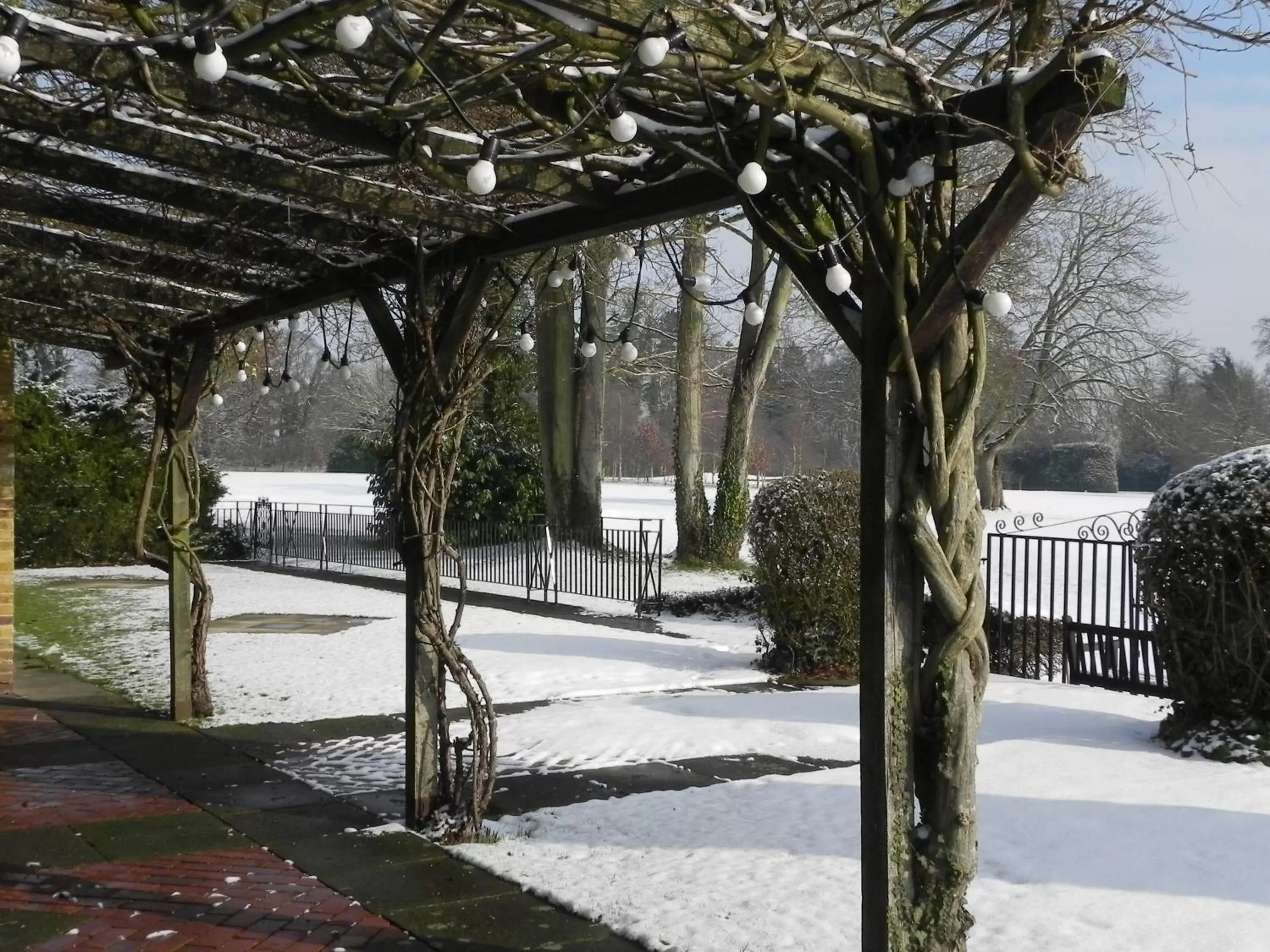 Garden, Winter in Badgemore Park