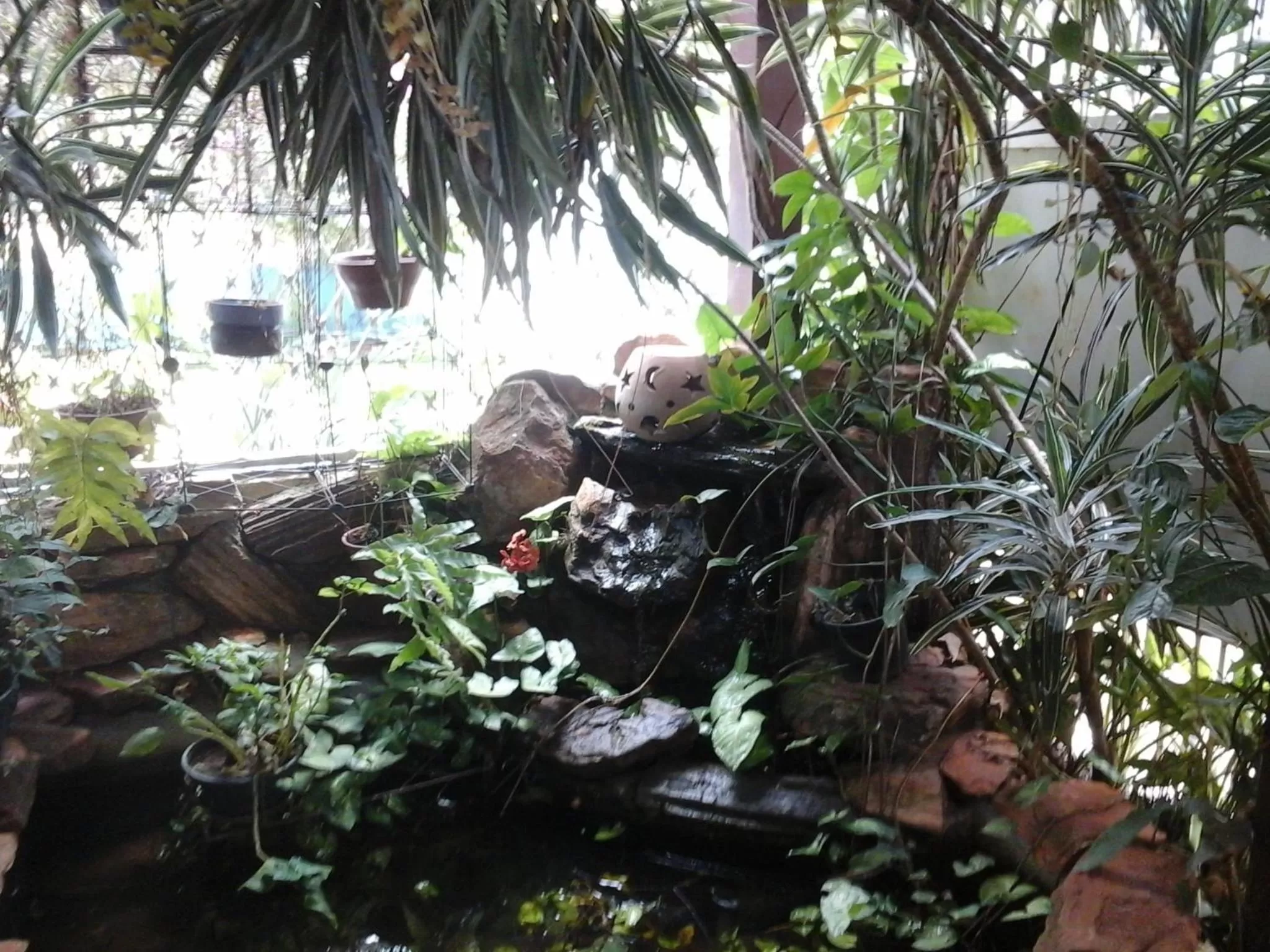 Natural landscape in Kzazendf Cama&Cafe Hospedagem Familiar