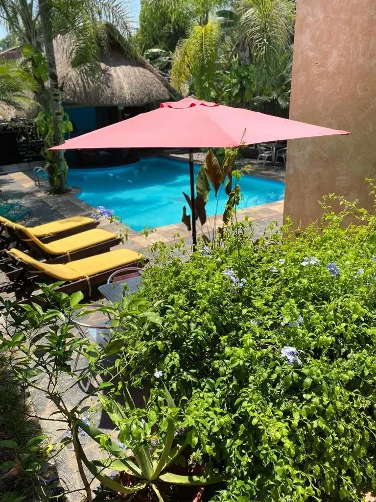Swimming Pool in Hotel Camino Surreal Xilitla