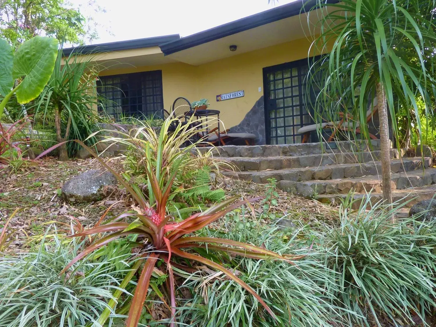 Property Building in Pura Vida Hotel