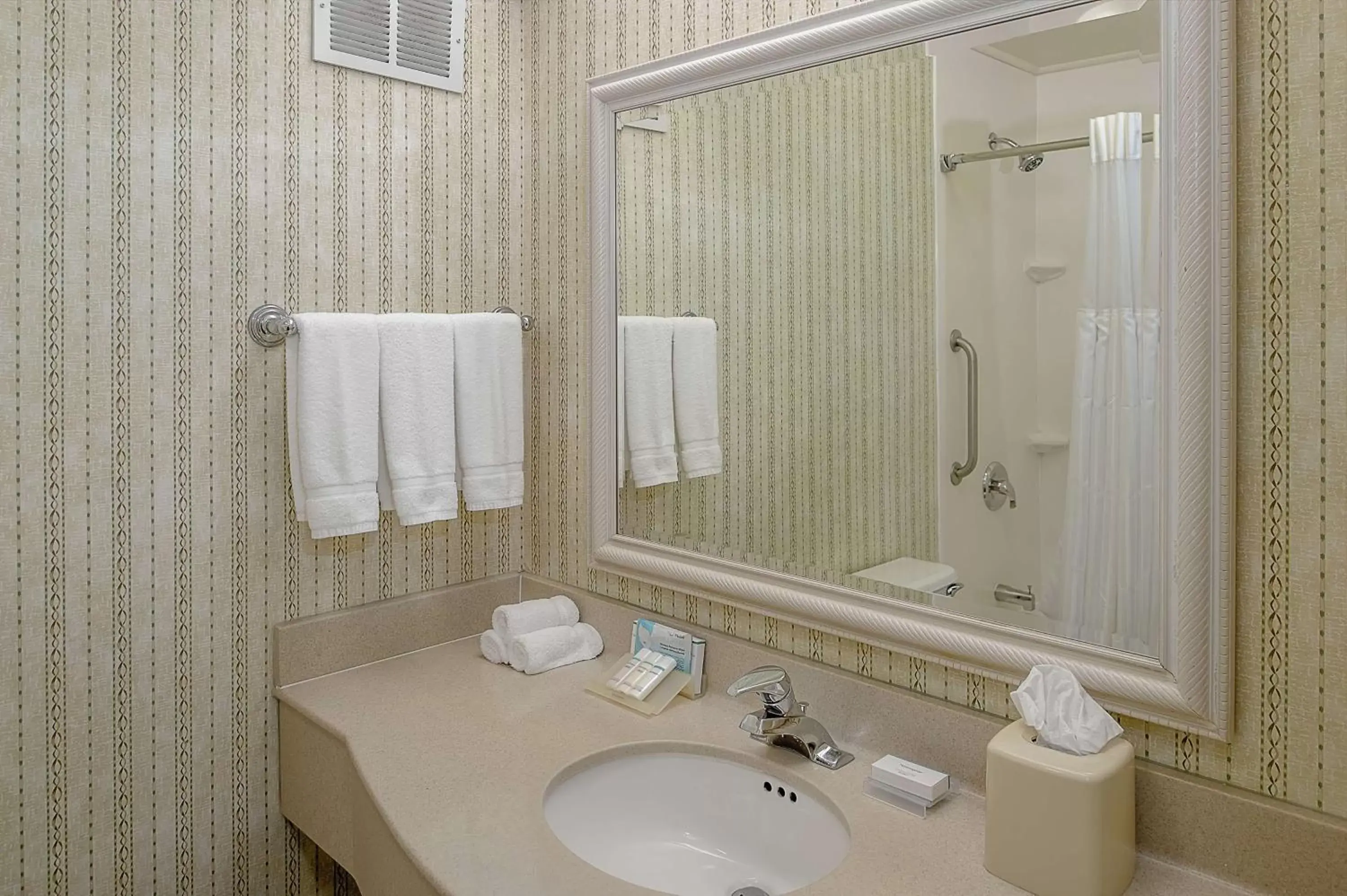 Bathroom in Hilton Garden Inn St. Louis/Chesterfield