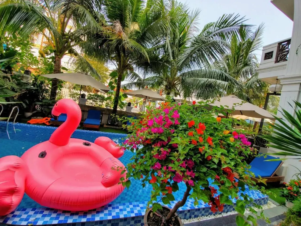 Swimming pool in Hoi An Discovery Villa