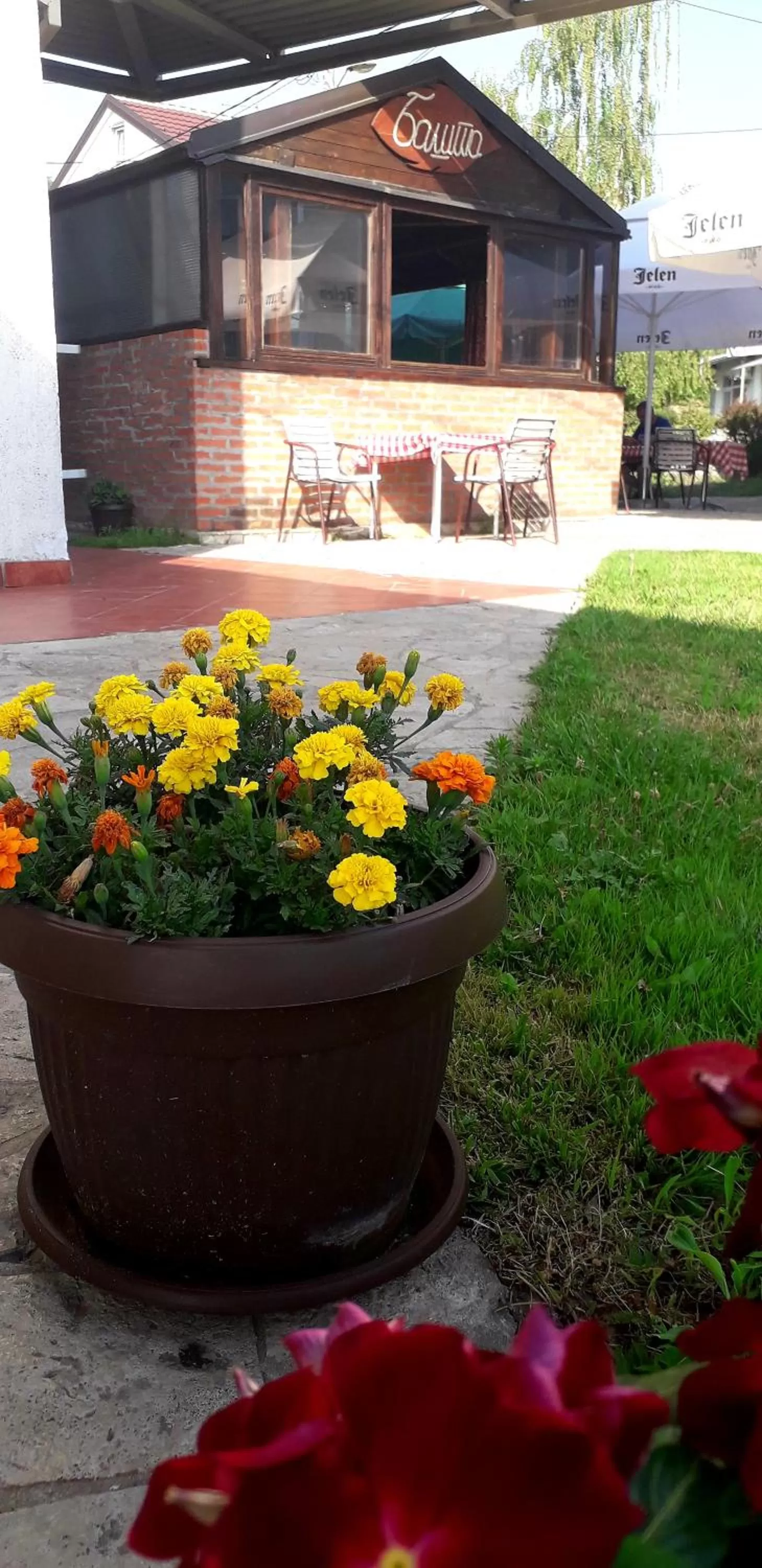 Garden in Hotel Slodes