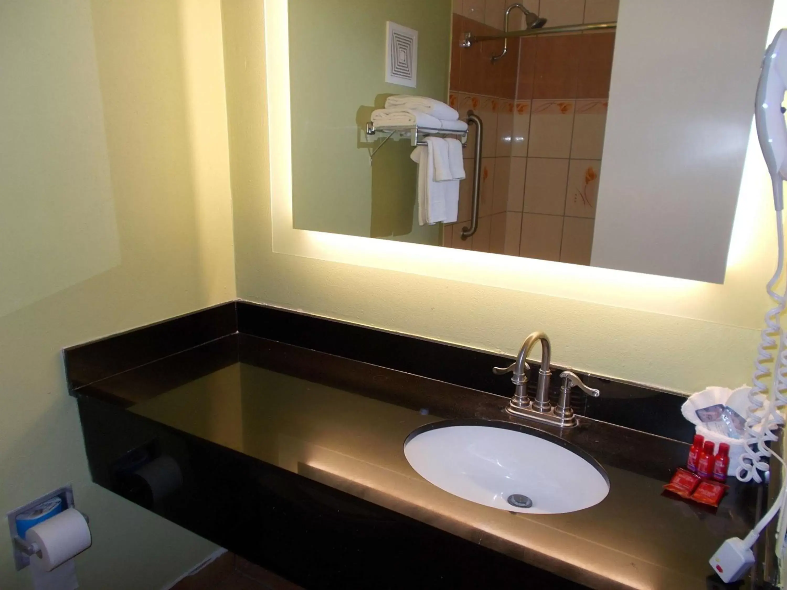 Bathroom in SureStay Plus Hotel by Best Western St Marys Cumberland