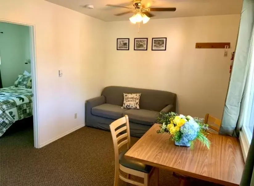 Living room, Seating Area in Mountain Springs Motel