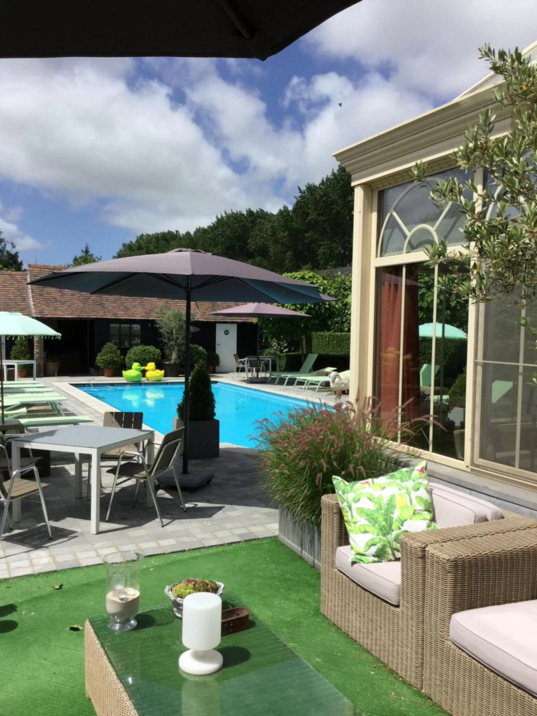 Swimming pool in Boutique hotel Het Bloemenhof
