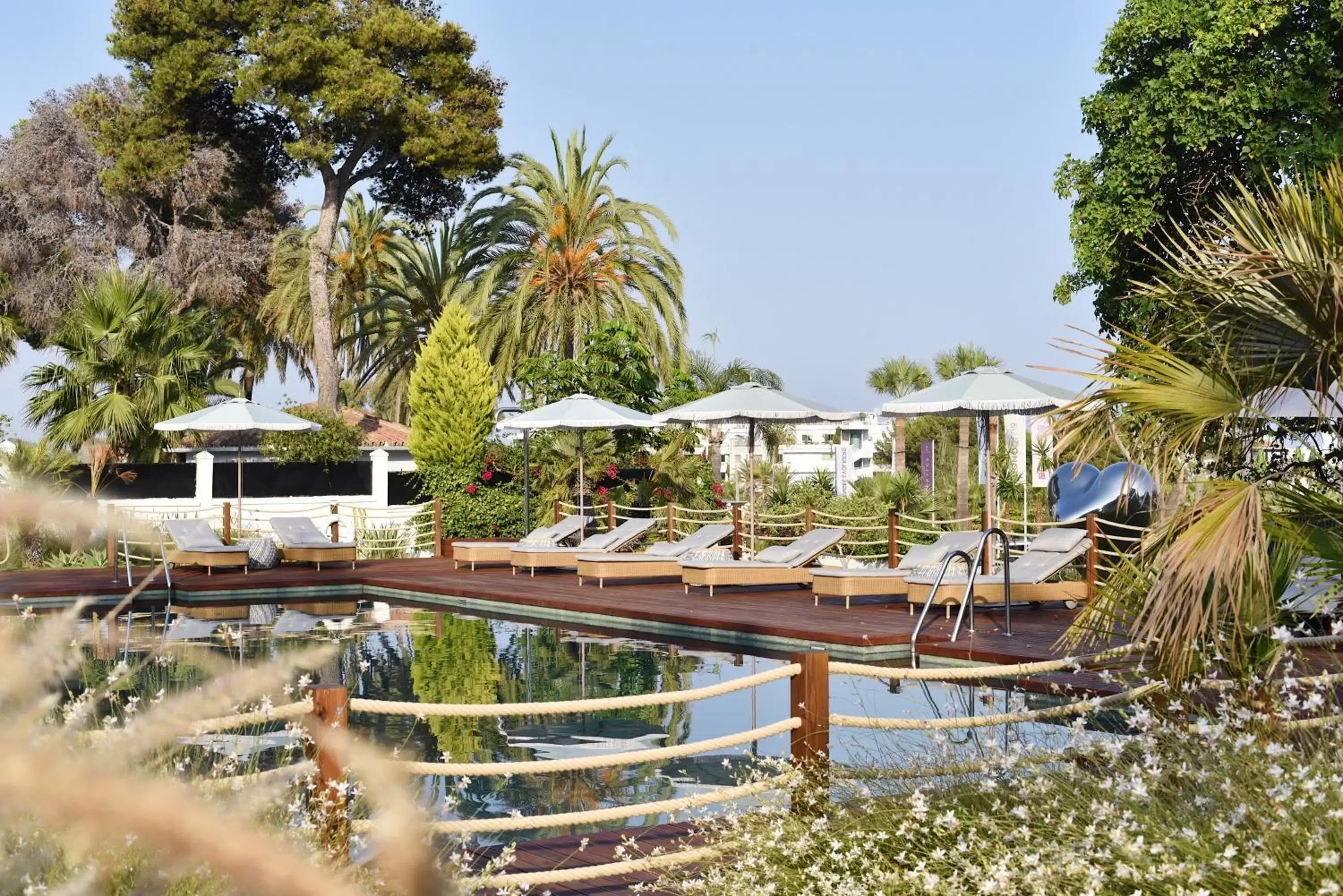 Swimming Pool in Boho Club