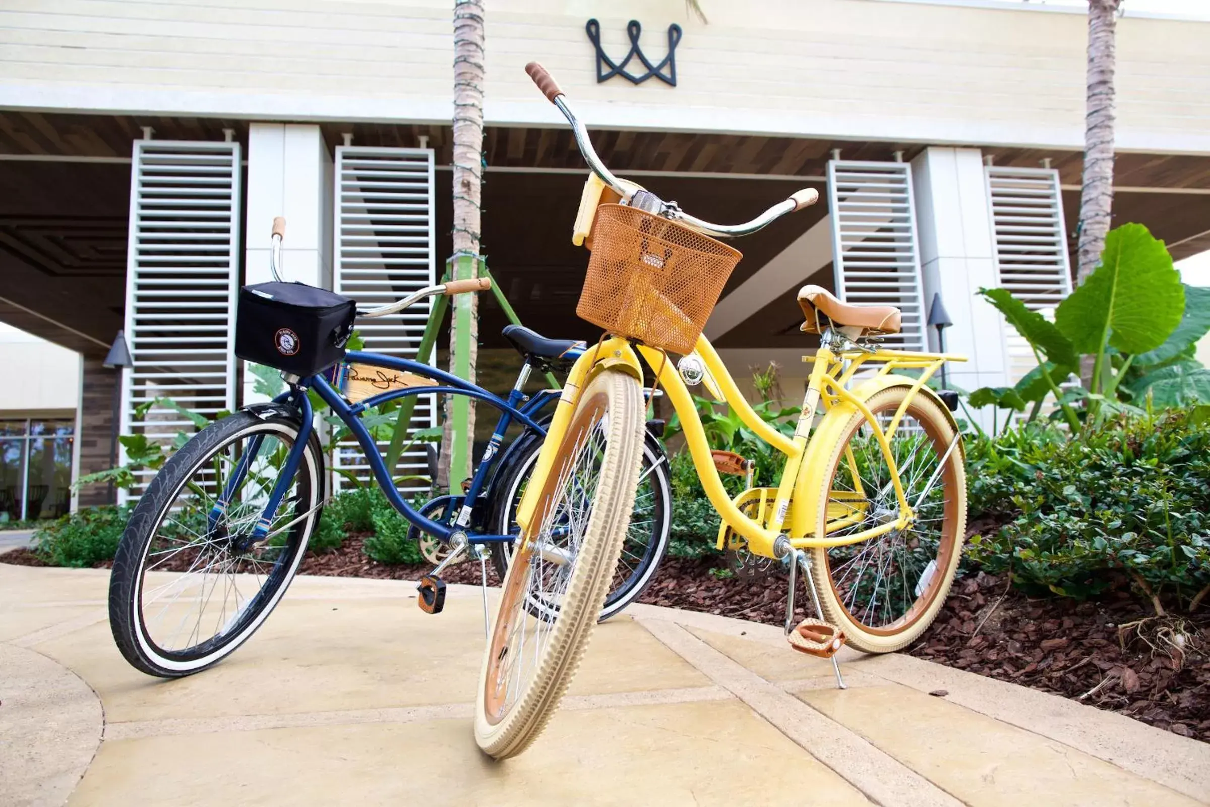 Cycling, Biking in Warwick Paradise Island Bahamas - All Inclusive - Adults Only