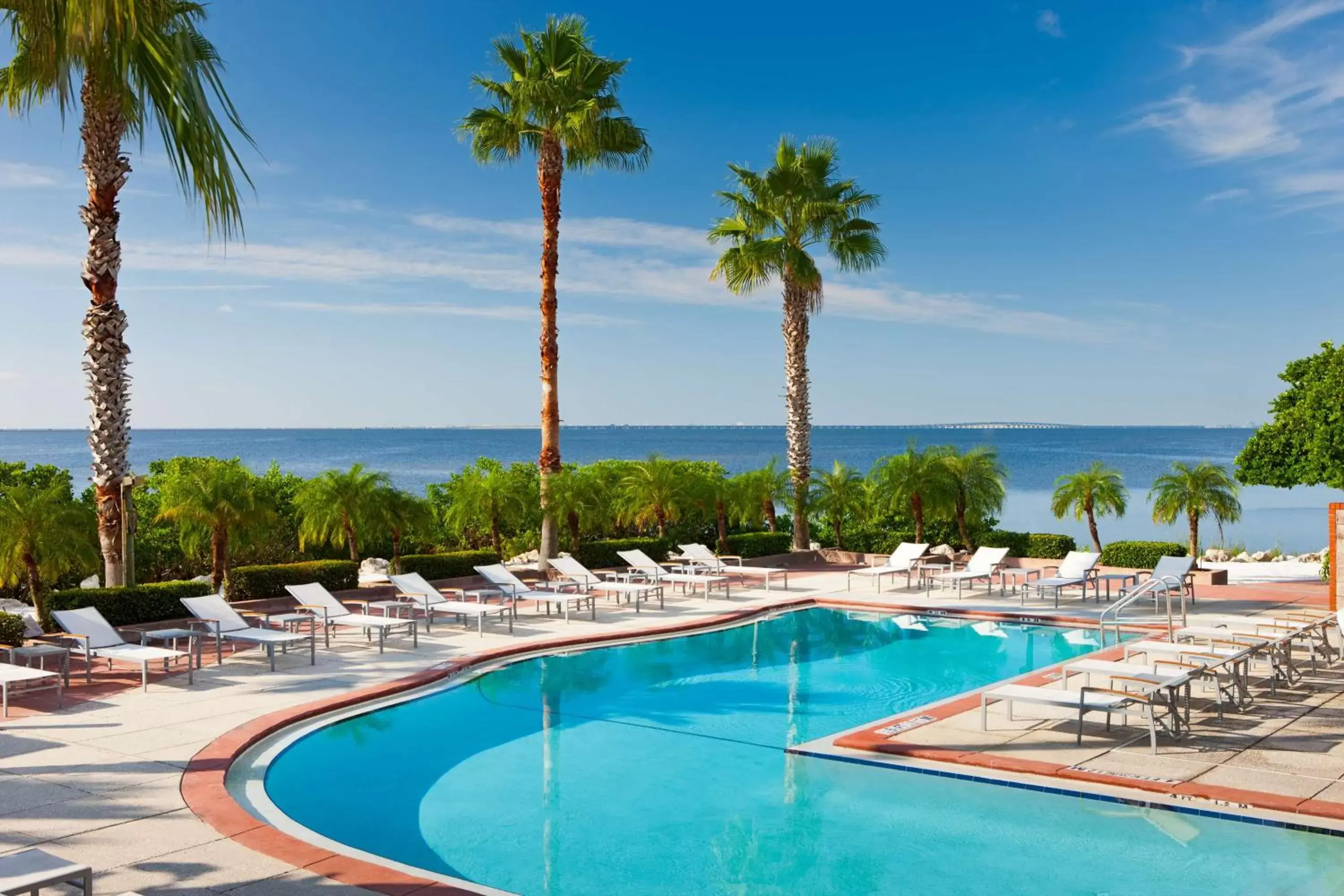 Swimming Pool in Grand Hyatt Tampa Bay