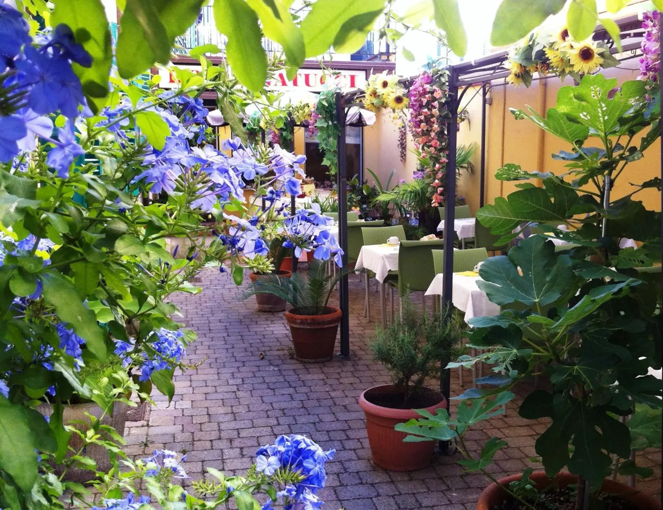 Patio, Garden in Albergo Natucci