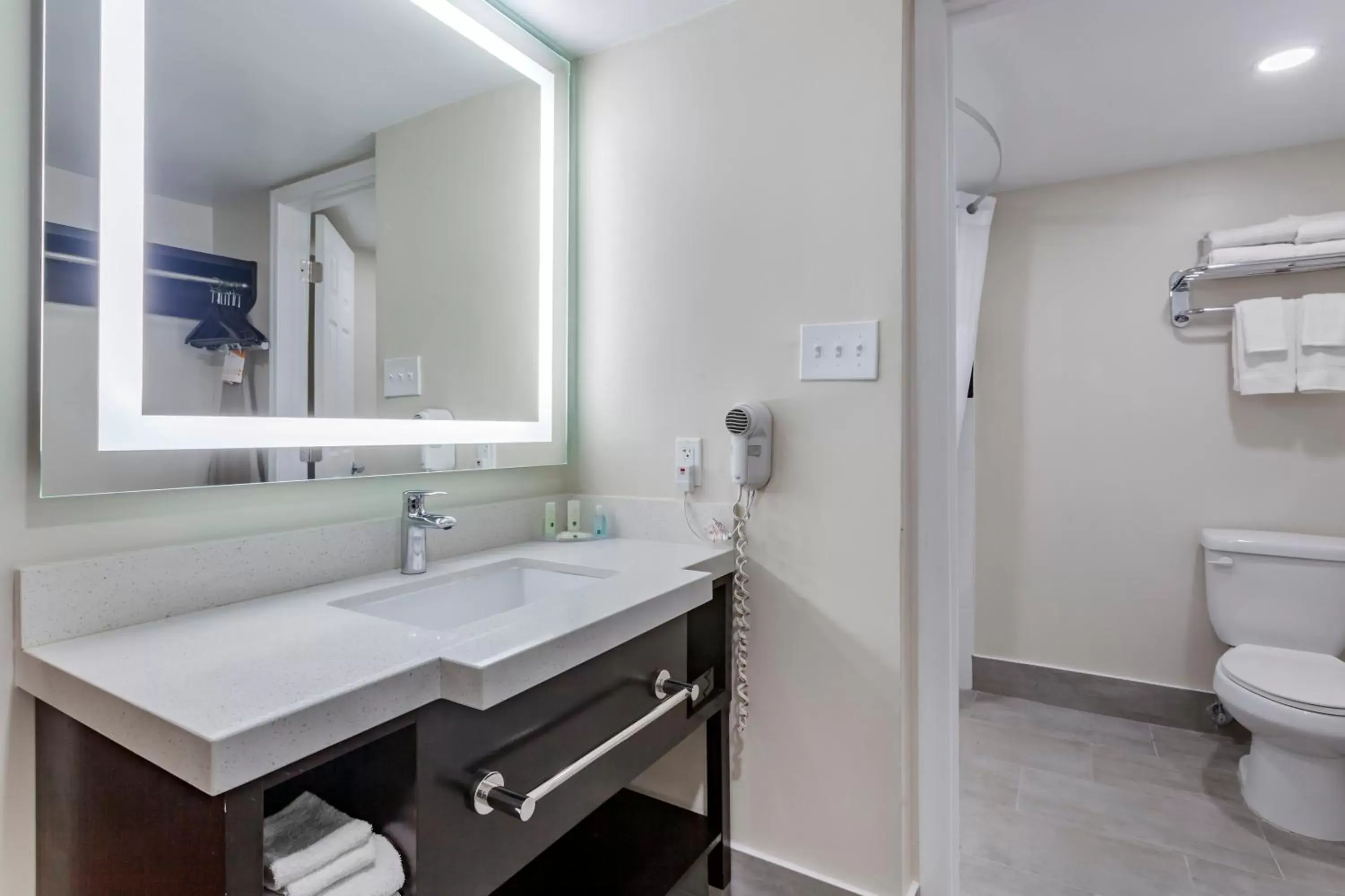 Toilet, Bathroom in Quality Inn and Suites Goodyear