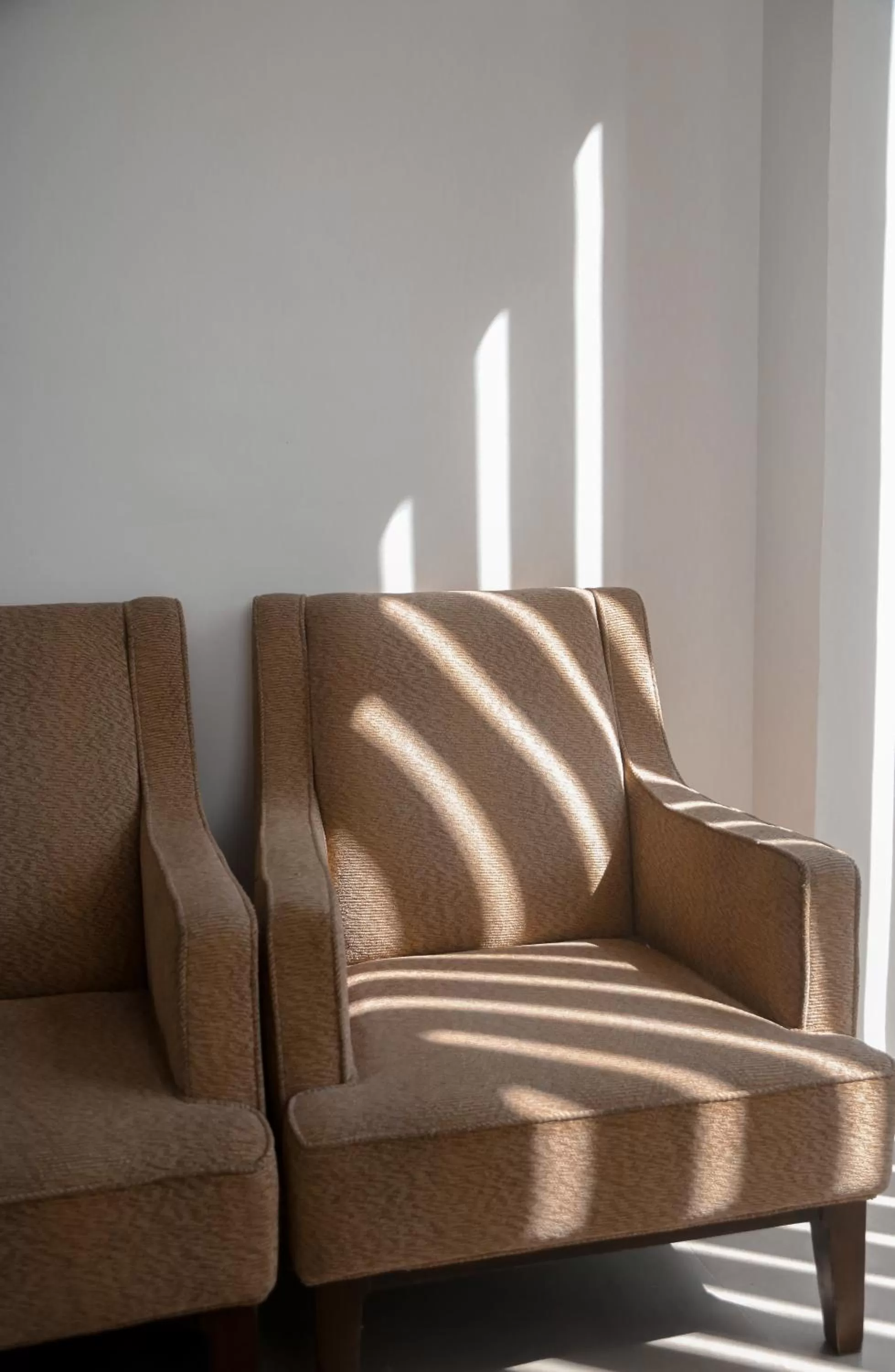 Seating area in Bassa nova villa