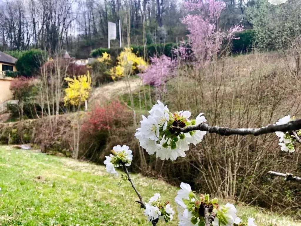 Garden in Domaine Du Moulin Vallée Heureuse