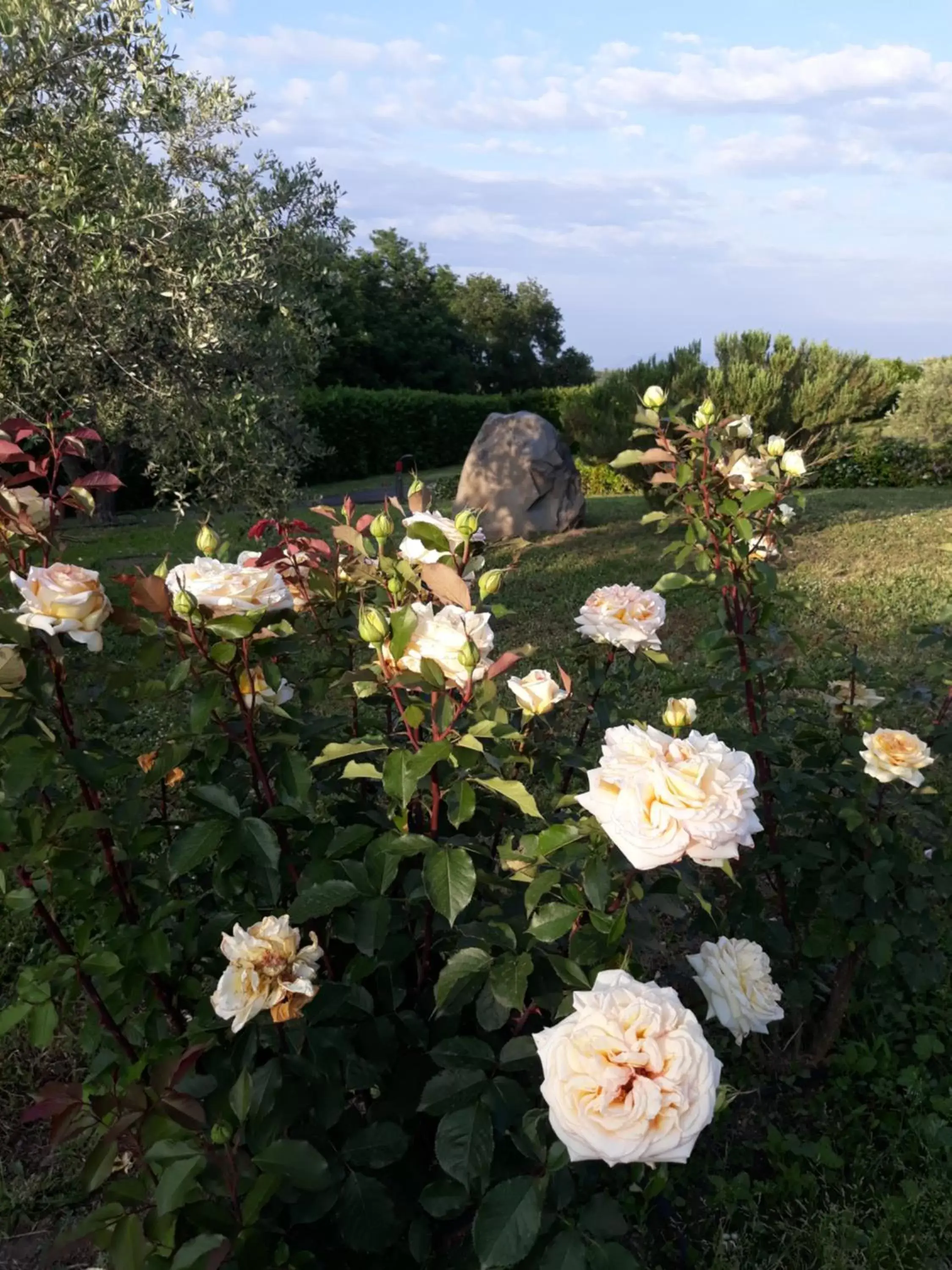 Property building in L'Orto sul Poggio