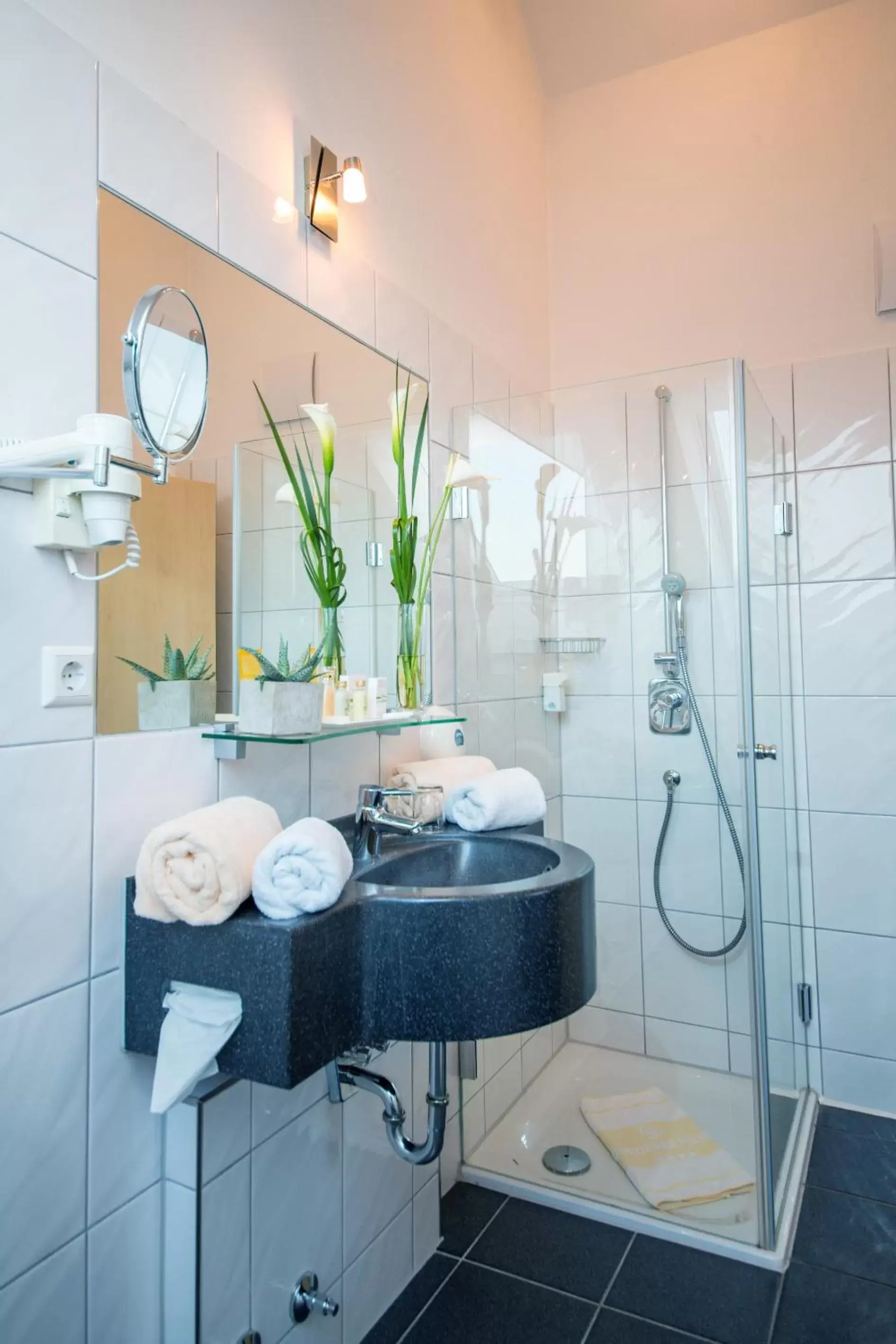 Shower, Bathroom in Hotel & Restaurant Goldener Pflug