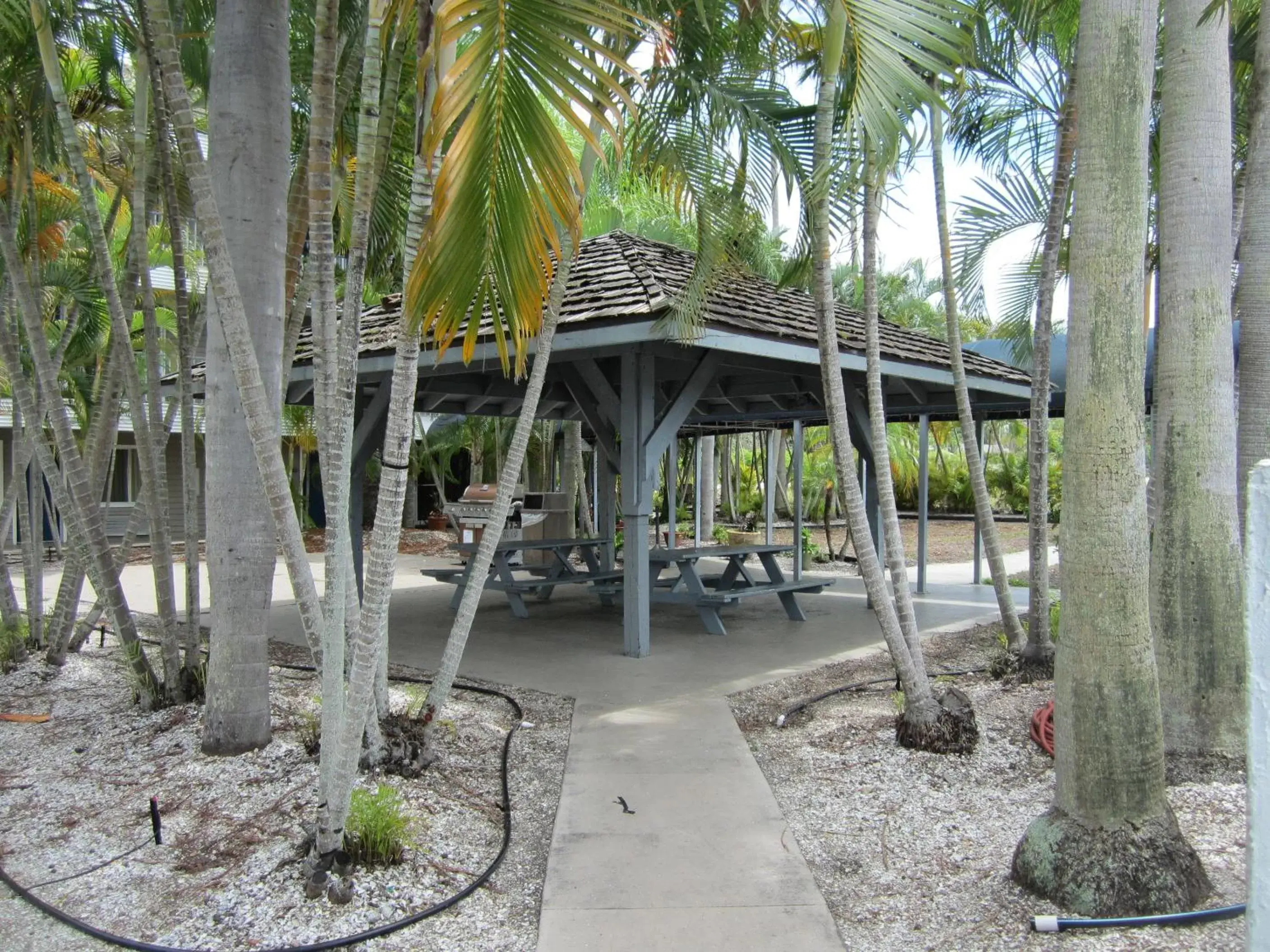 Patio in Lantern Inn & Suites - Sarasota