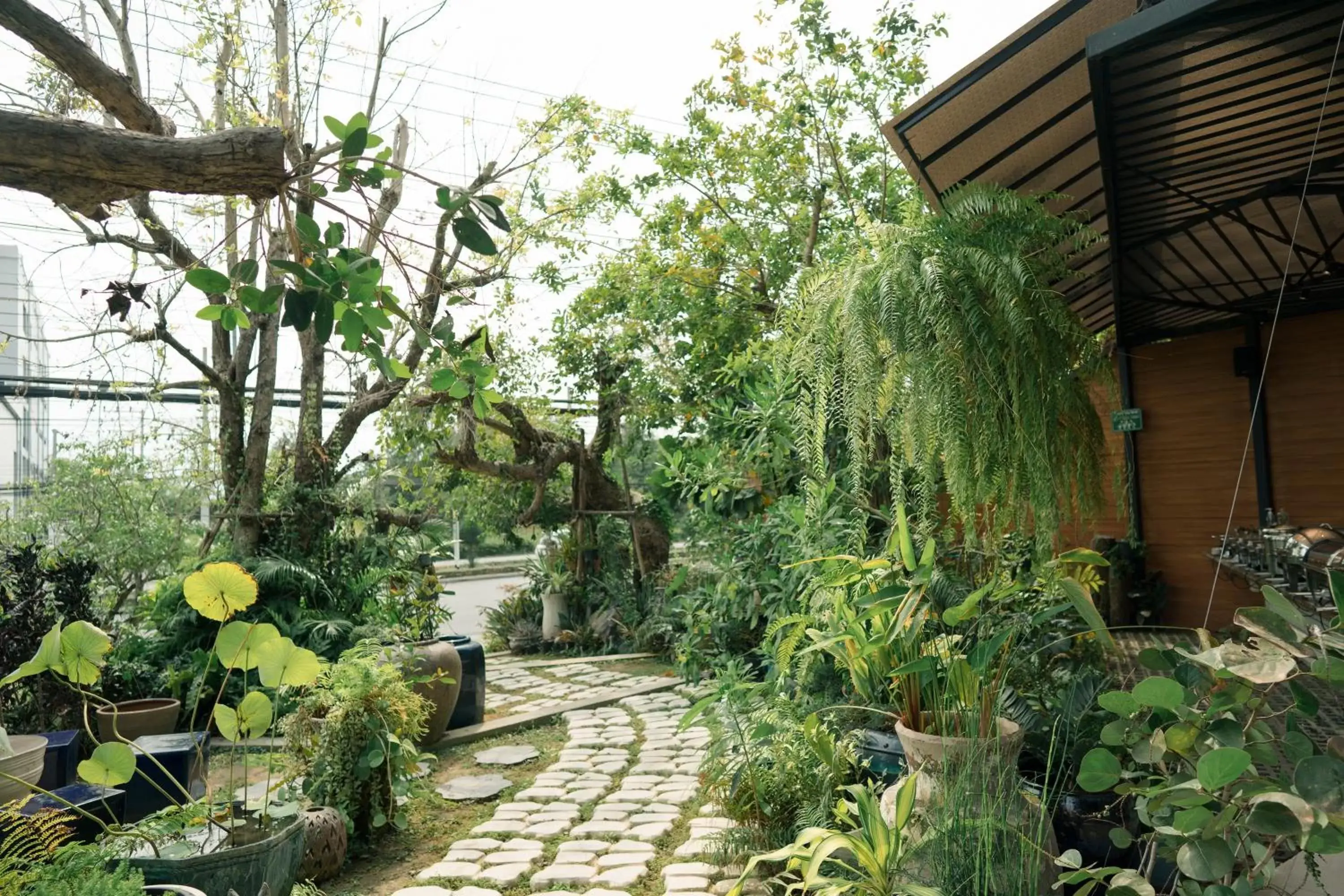 Garden in Whale Hua Hin - SHA Plus