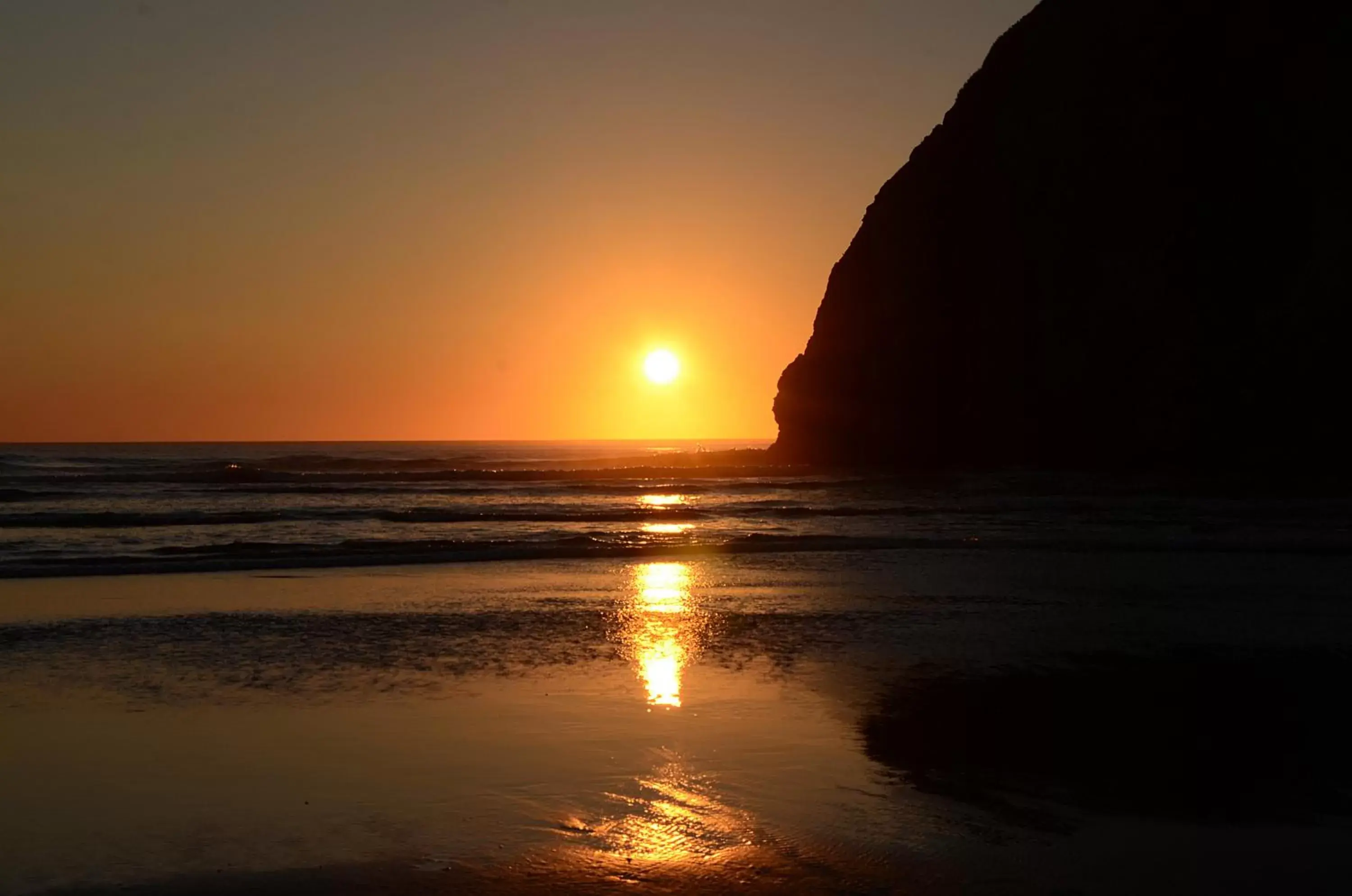 Natural landscape in Agate Beach Motel