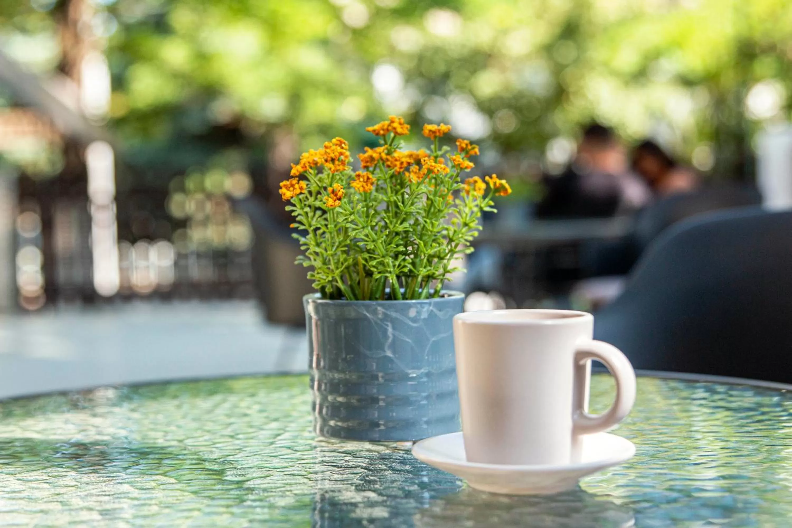 Garden in Richter Pansion