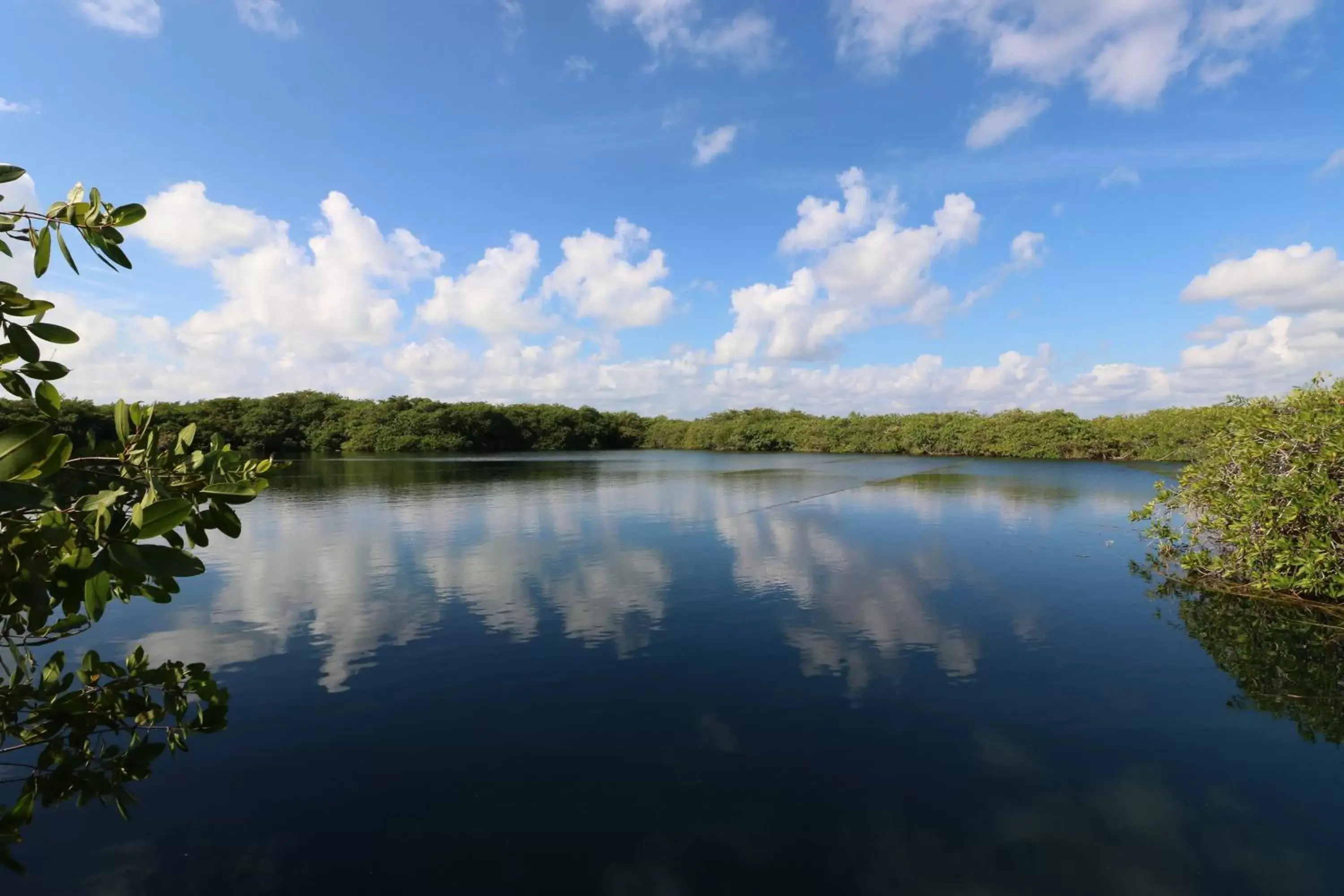 Natural landscape, Lake View in Cormoran Boutique Hotel & Private Cenote Tulum