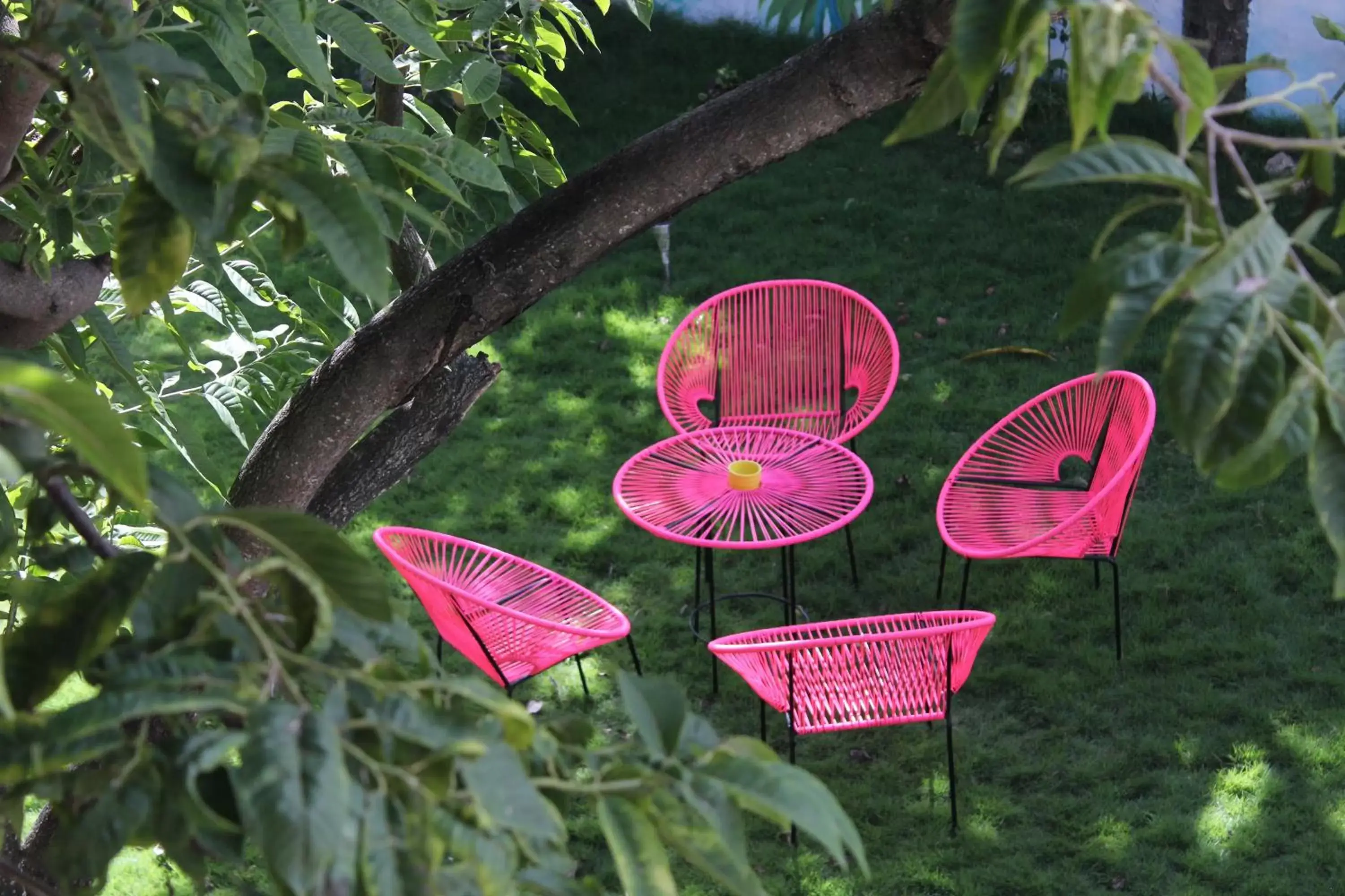 Garden, Patio/Outdoor Area in Corazon De Jade