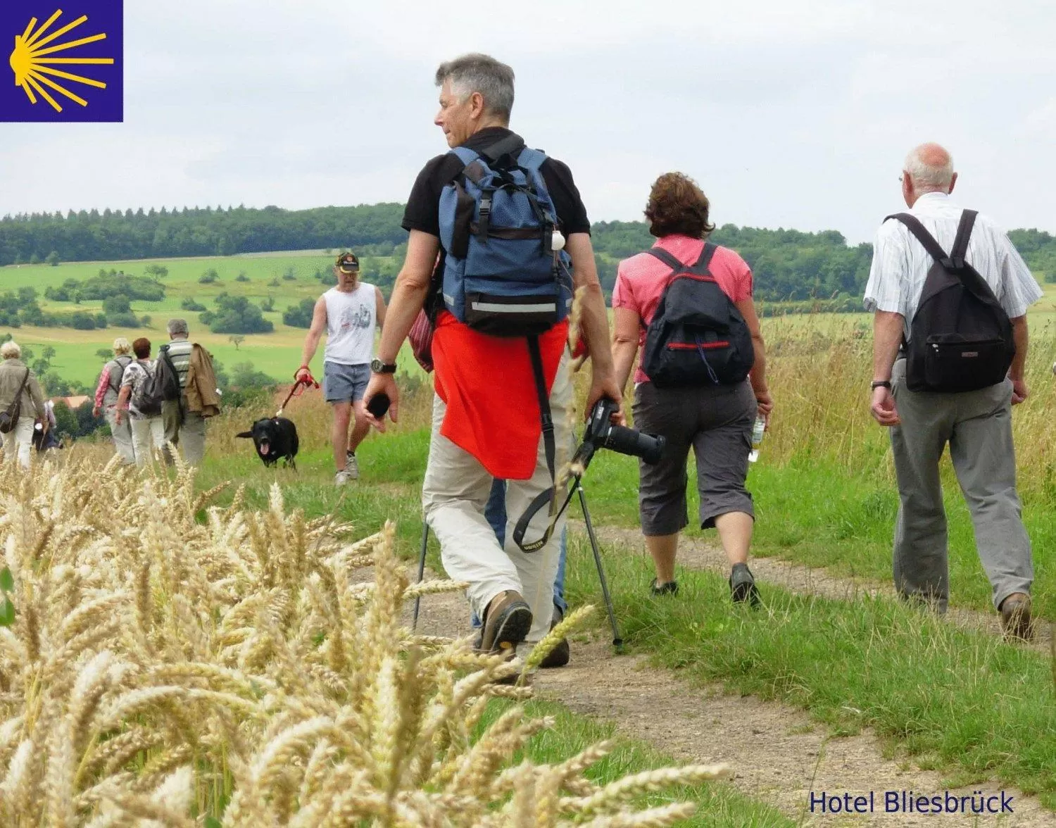 Hiking in Hotel Bliesbrück