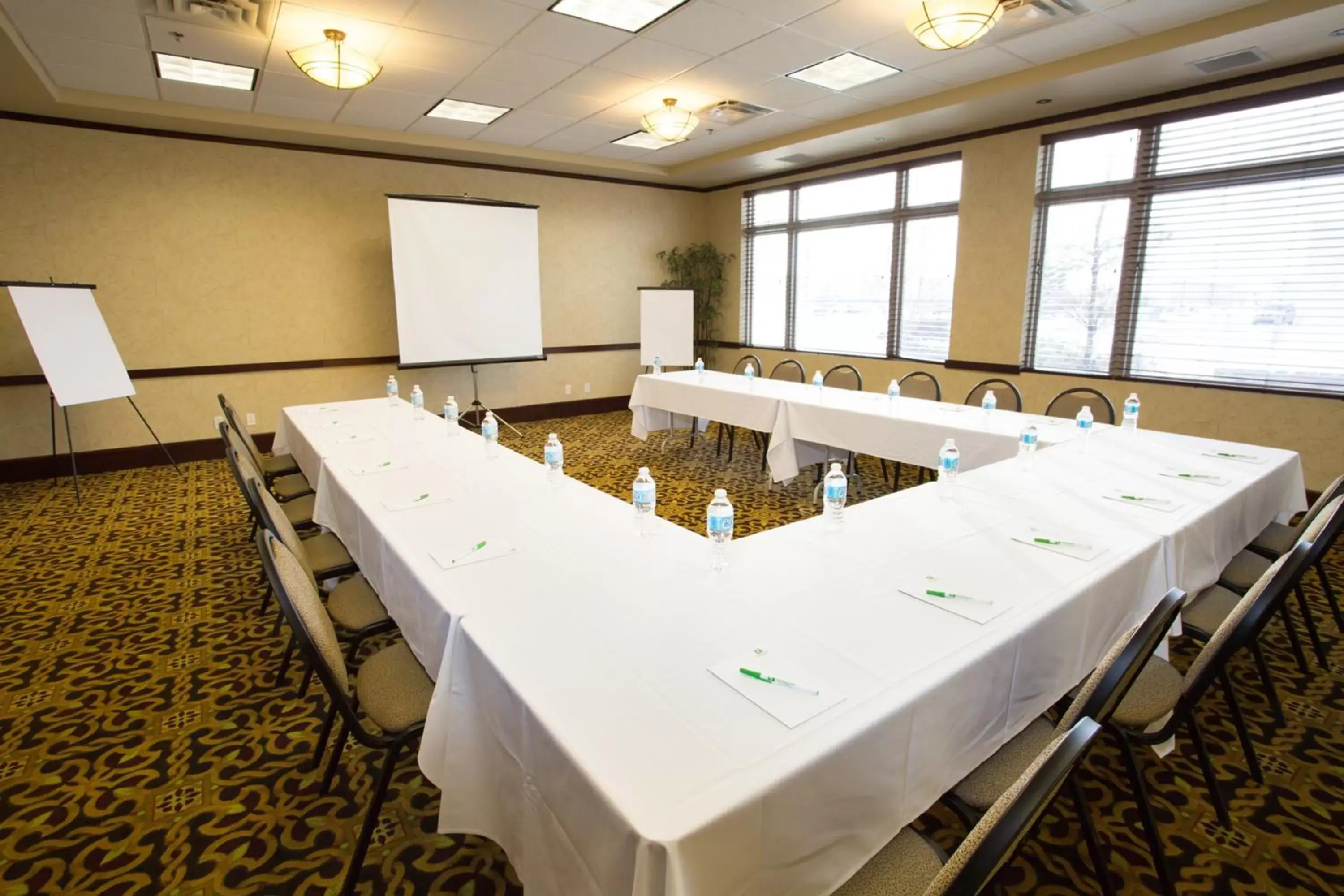 Meeting/conference room in Holiday Inn Hotel & Suites-West Edmonton, an IHG Hotel