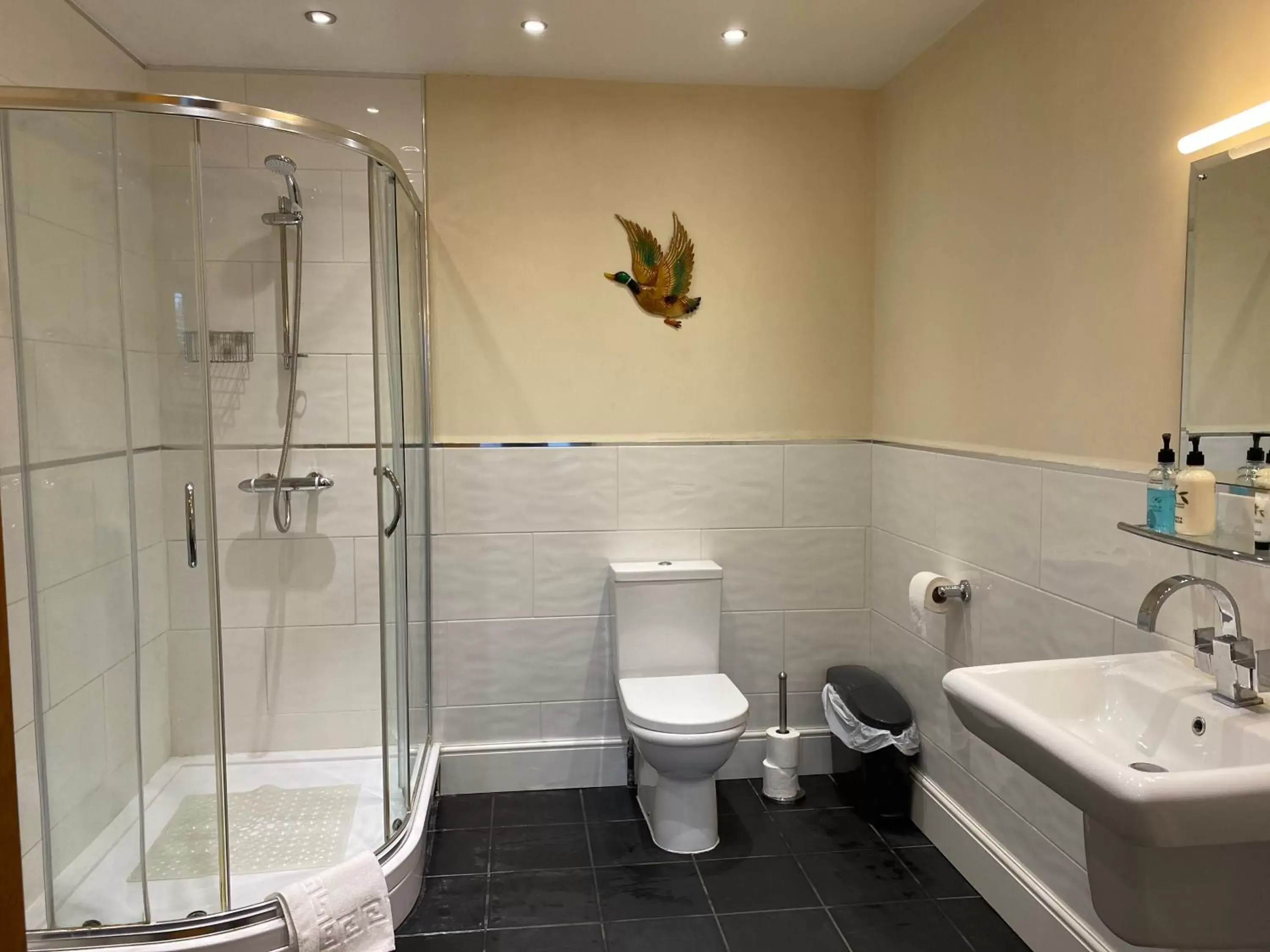 Shower, Bathroom in Woodhouse Farm Lodge