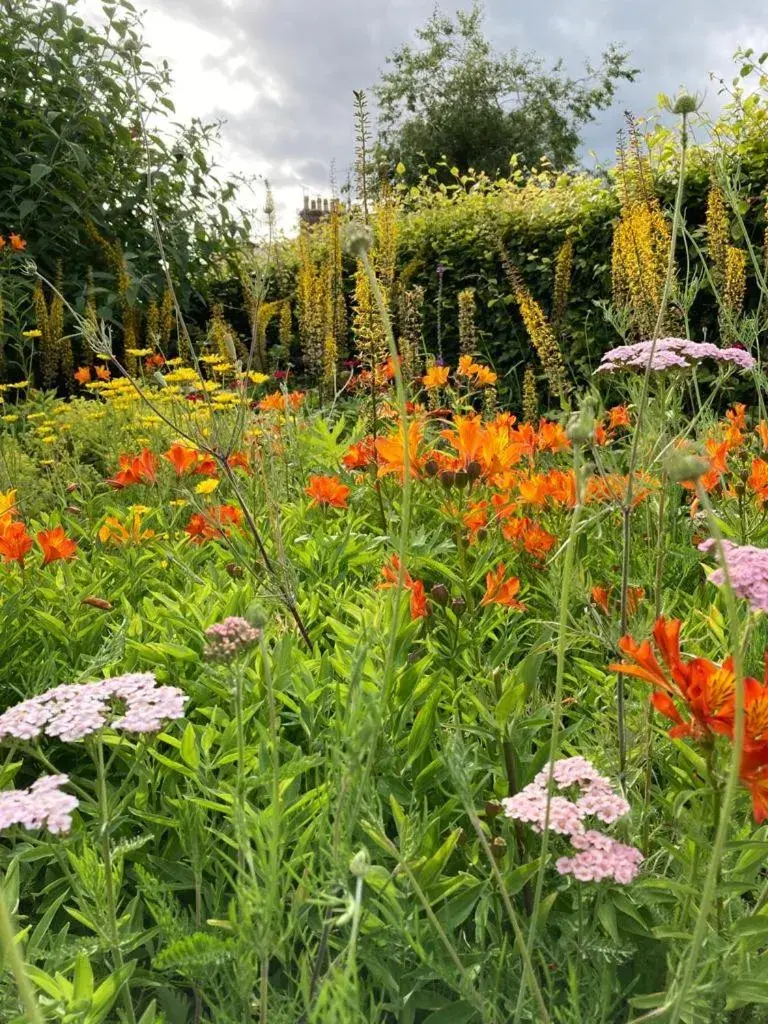 Garden in Tigh Na Leigh