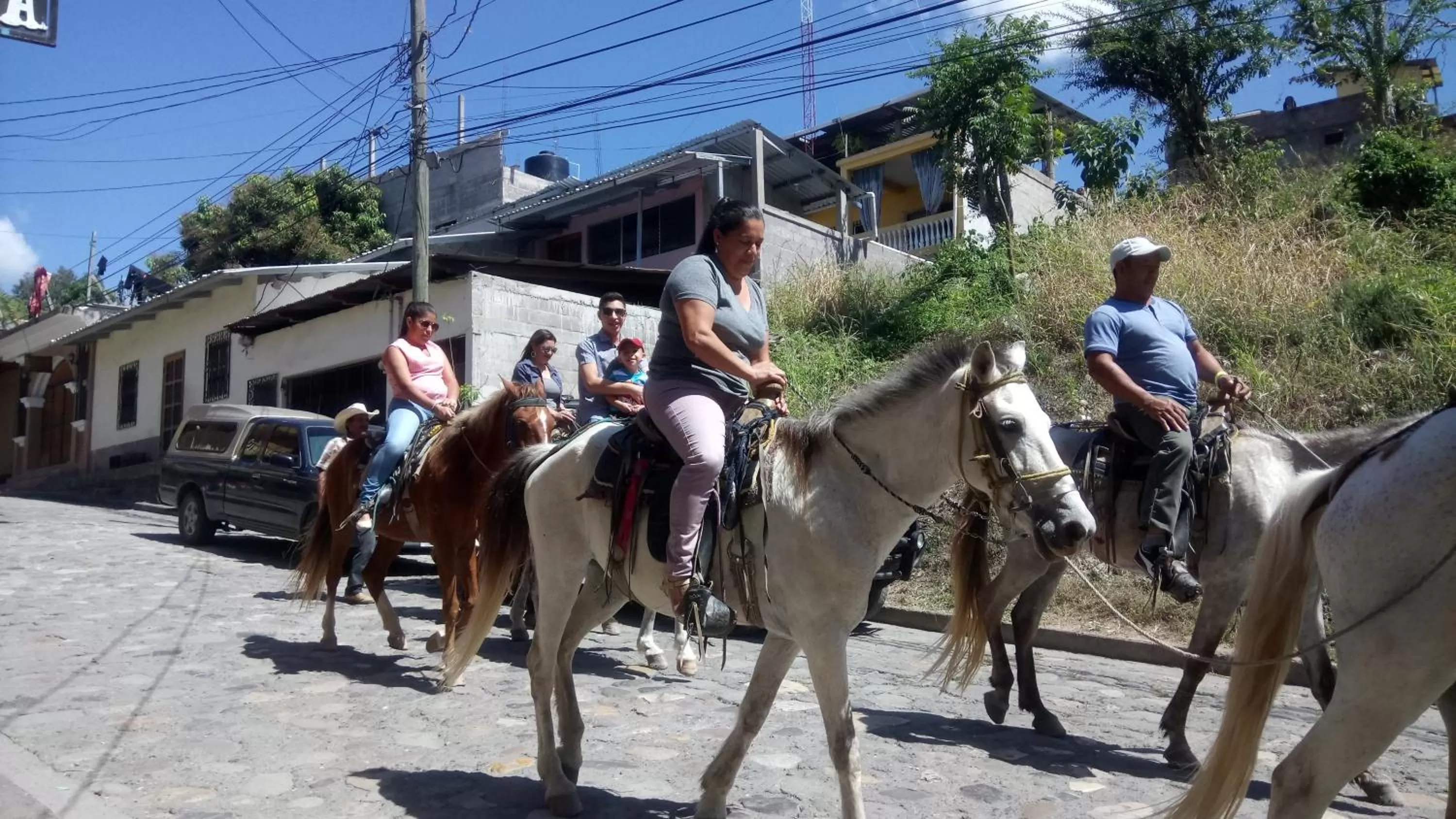 Entertainment in Hotel Rosalila