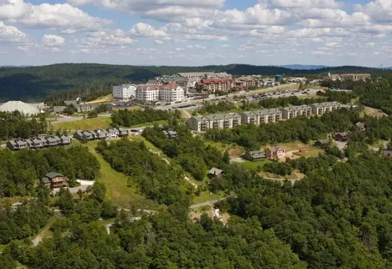 Day, Bird's-eye View in Rimfire