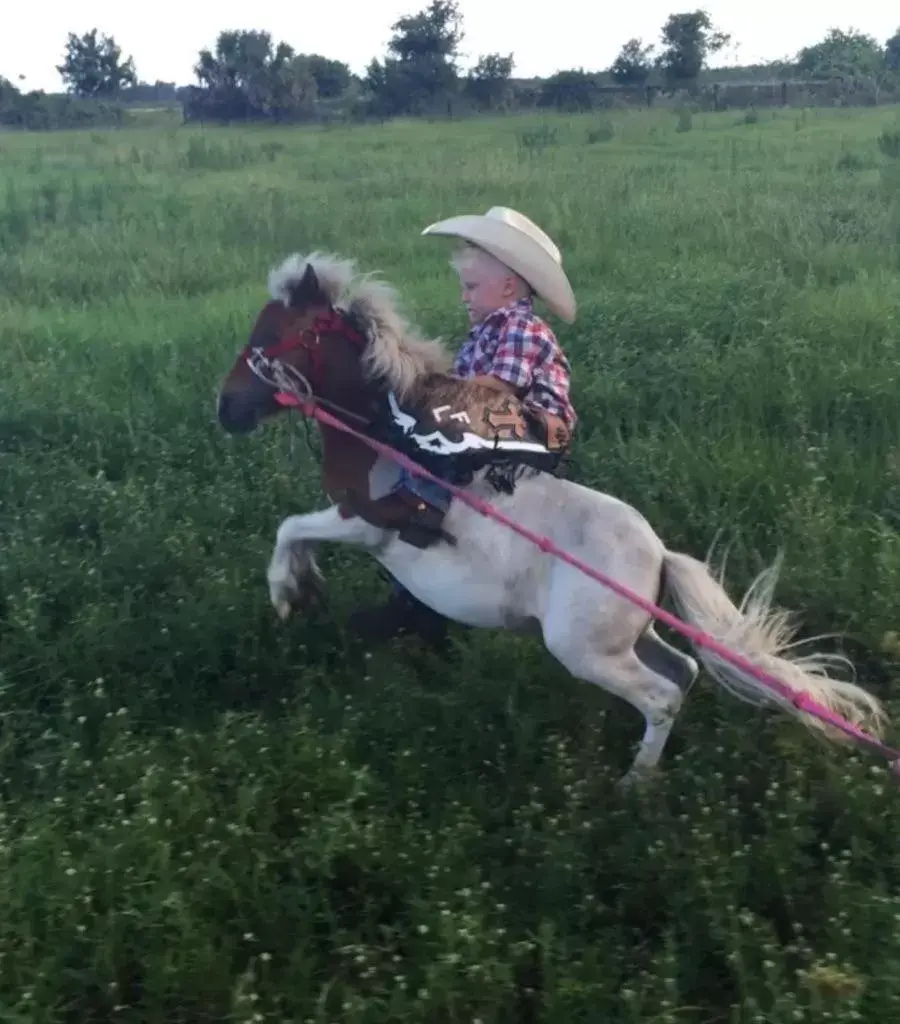 Horse-riding, Horseback Riding in Seminole Inn
