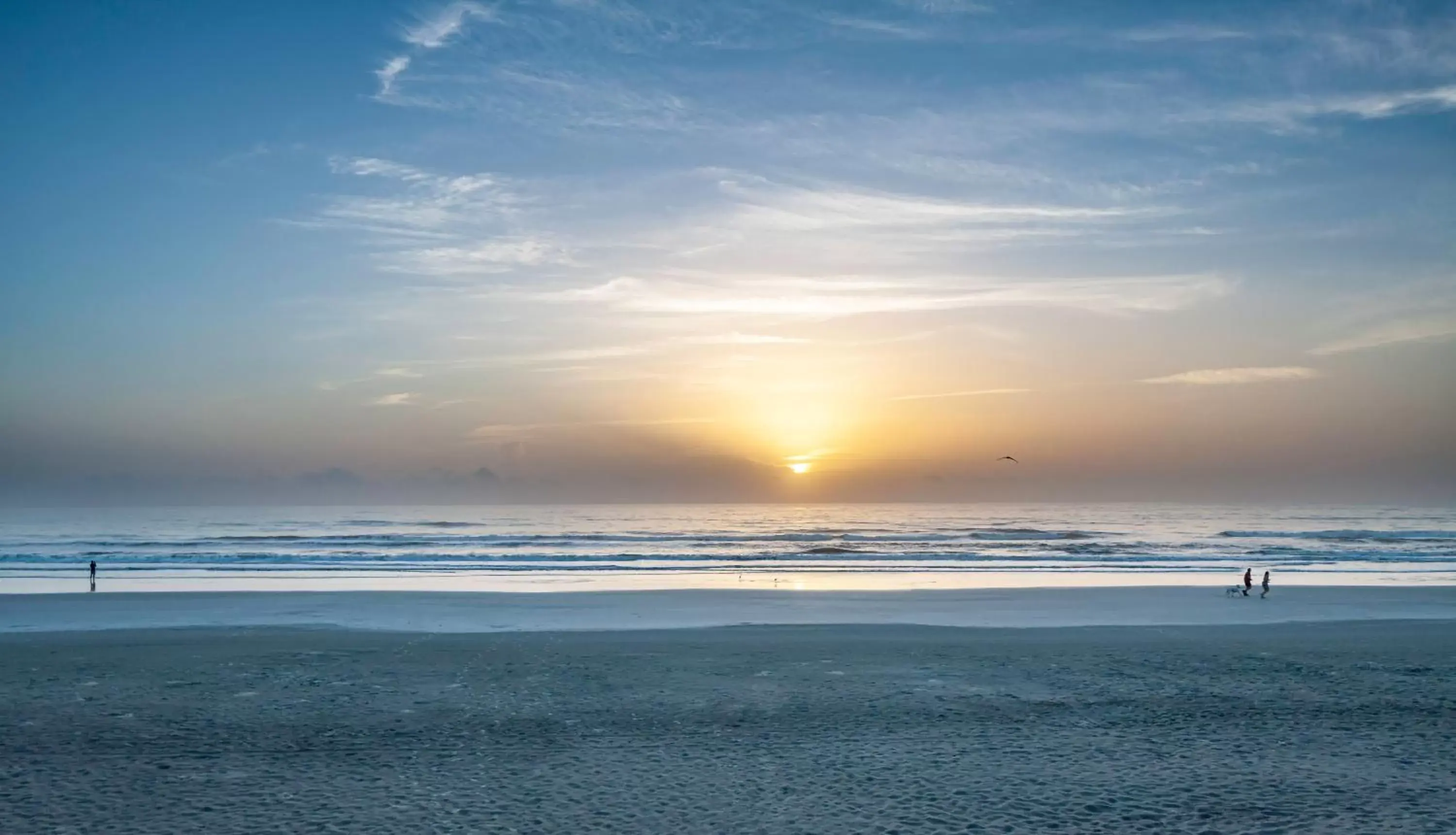 Beach in Best Western New Smyrna Beach Hotel & Suites