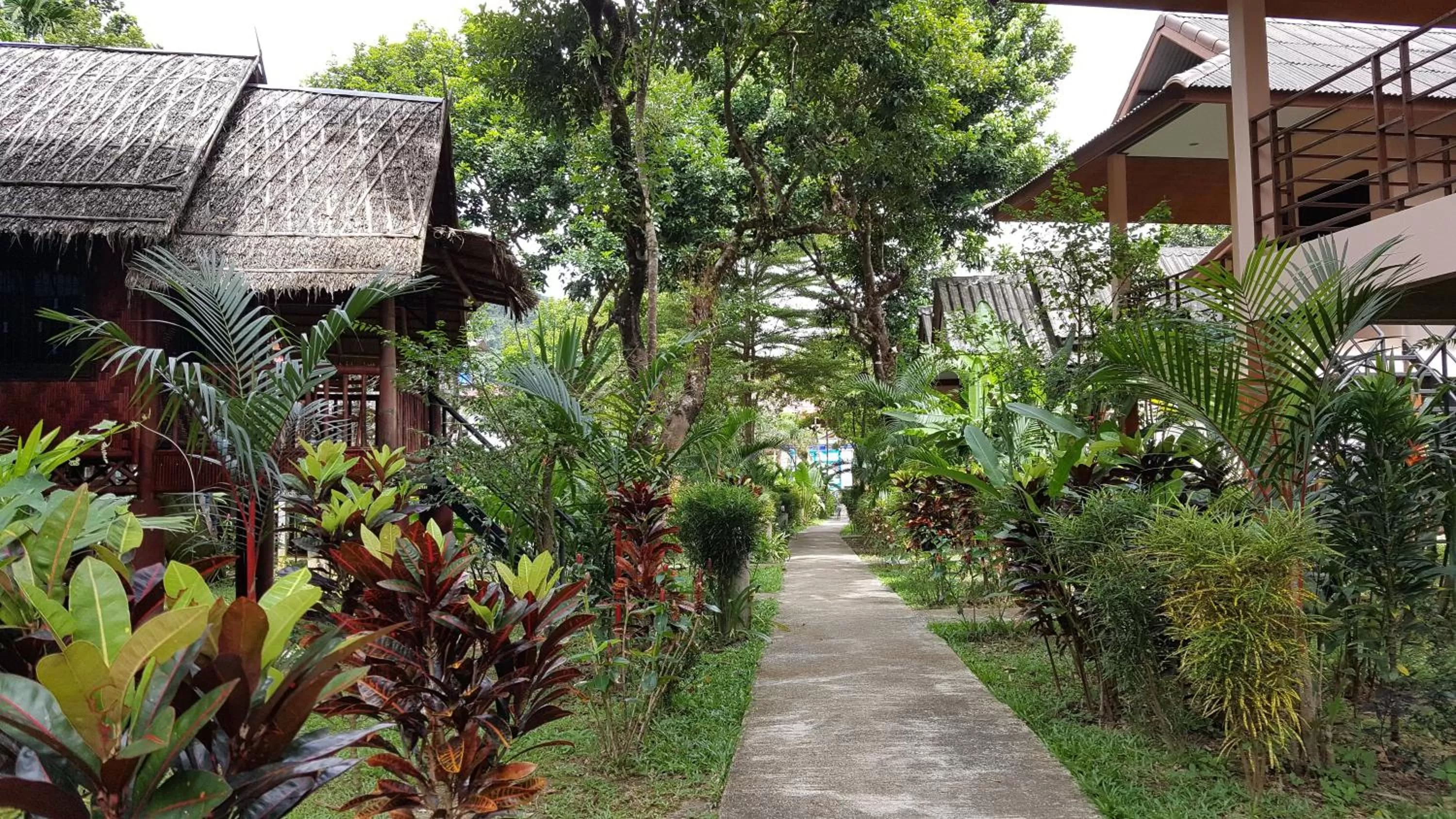 Natural landscape in Khao Sok Jungle Huts Resort