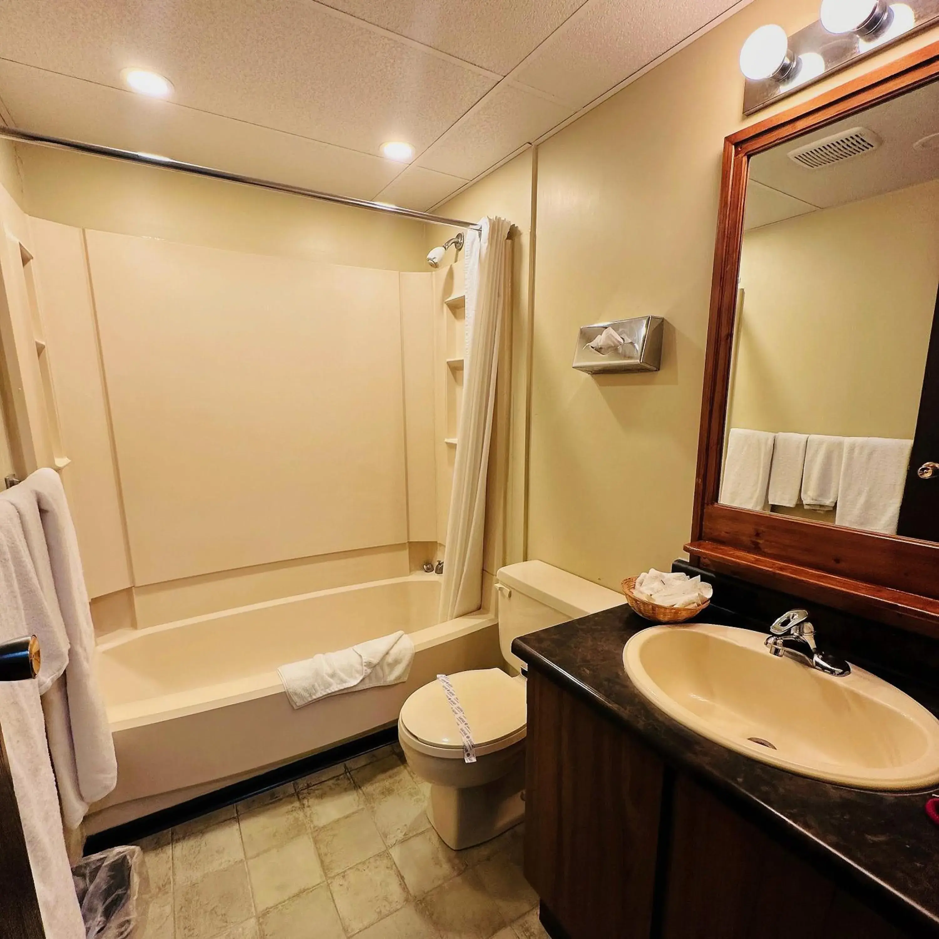bidet, Bathroom in Capri Motor Inn