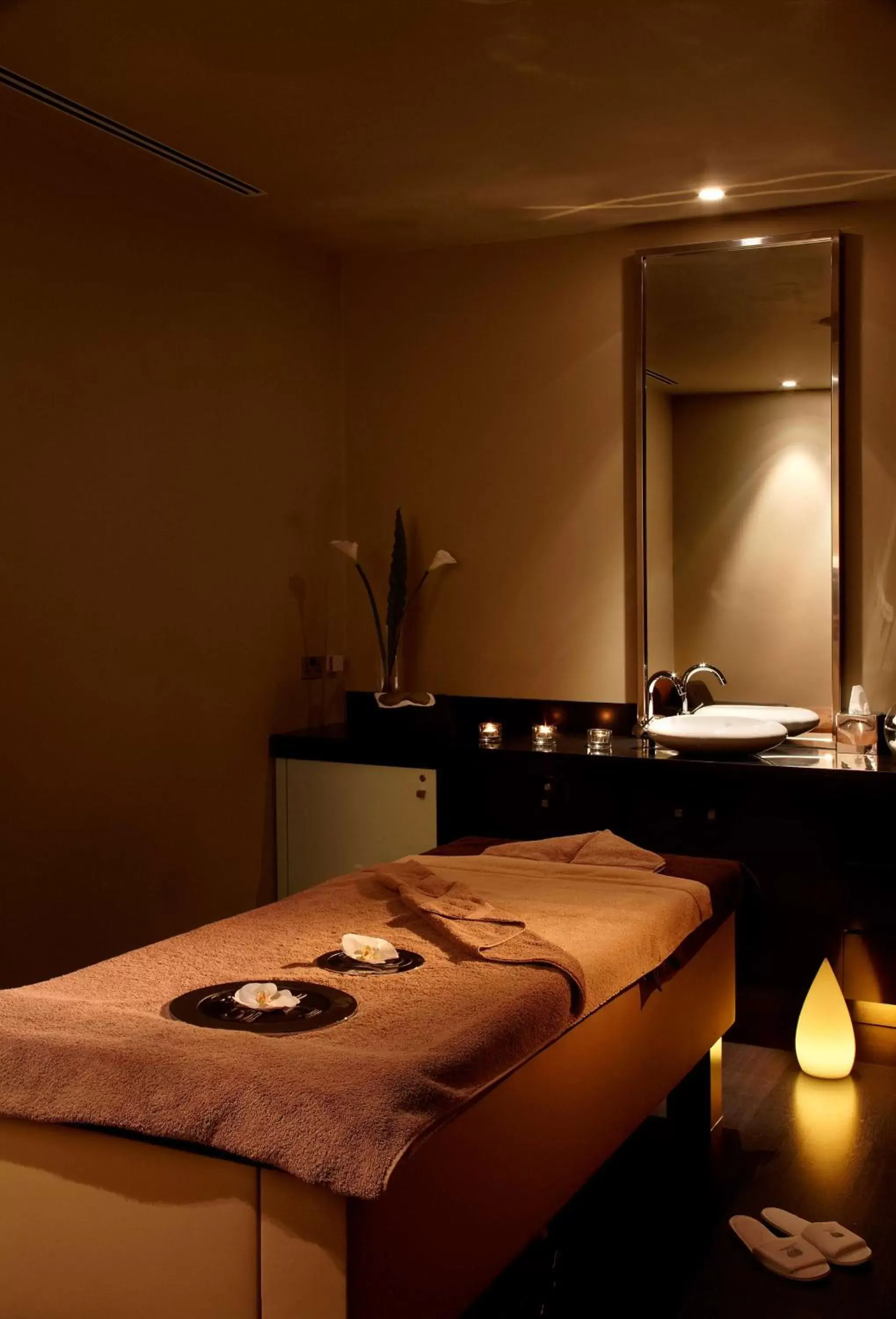 Spa and wellness centre/facilities in Park Plaza Westminster Bridge London
