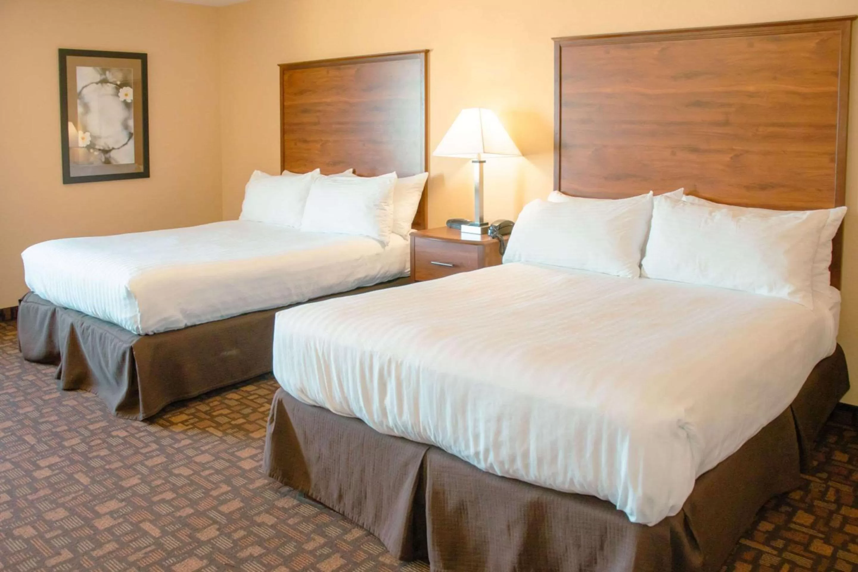 Bedroom, Bed in Expressway Suites of Grand Forks