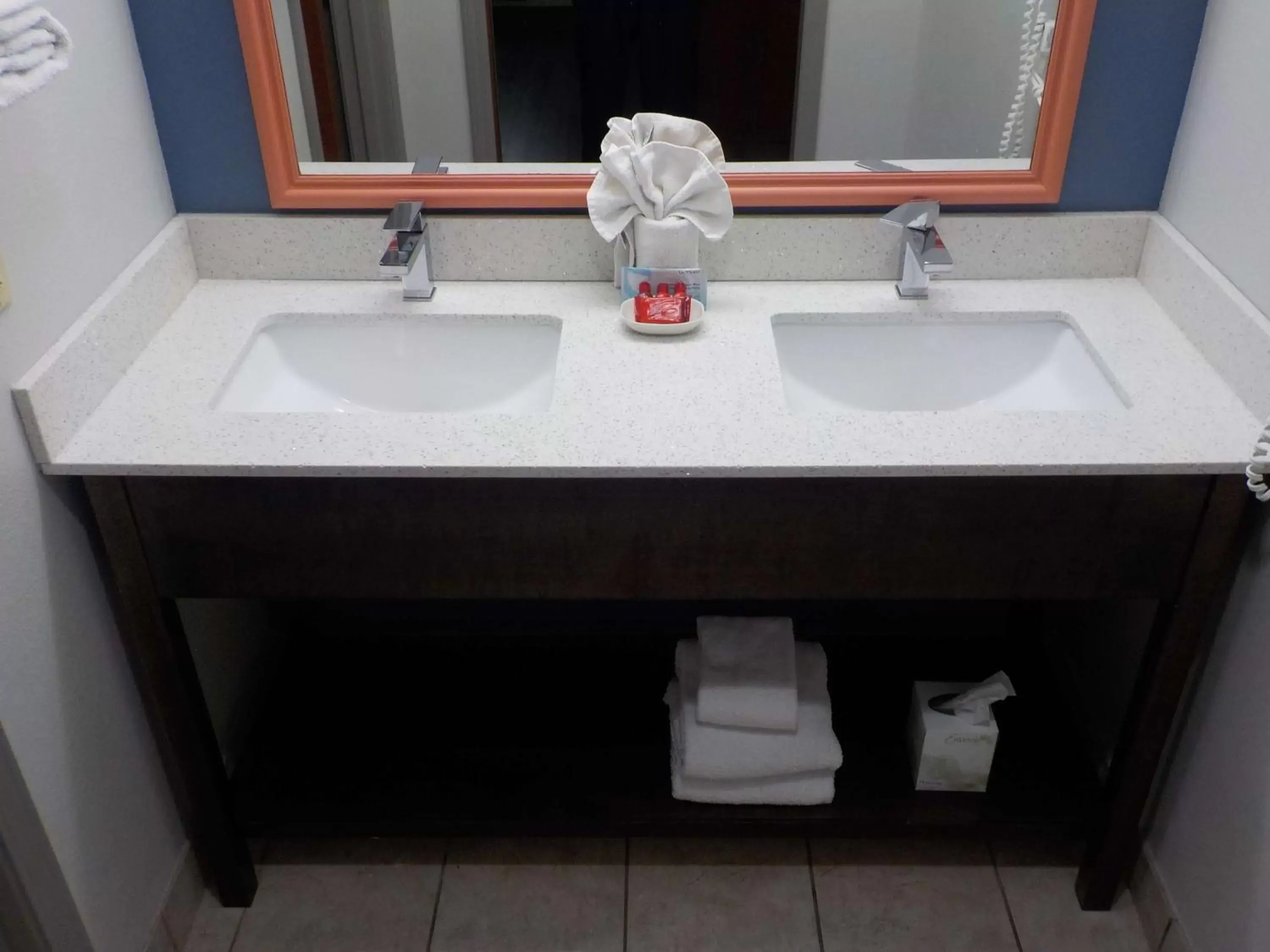 Bathroom in SureStay Plus by Best Western Louisville Airport Expo