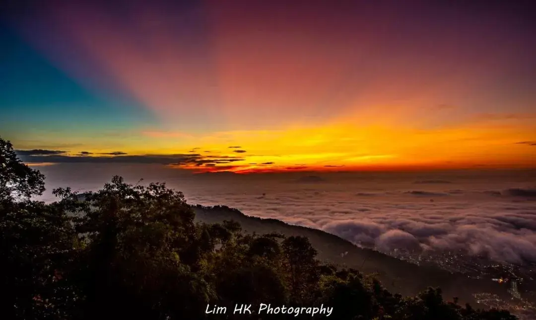 Hickory Penang Hill