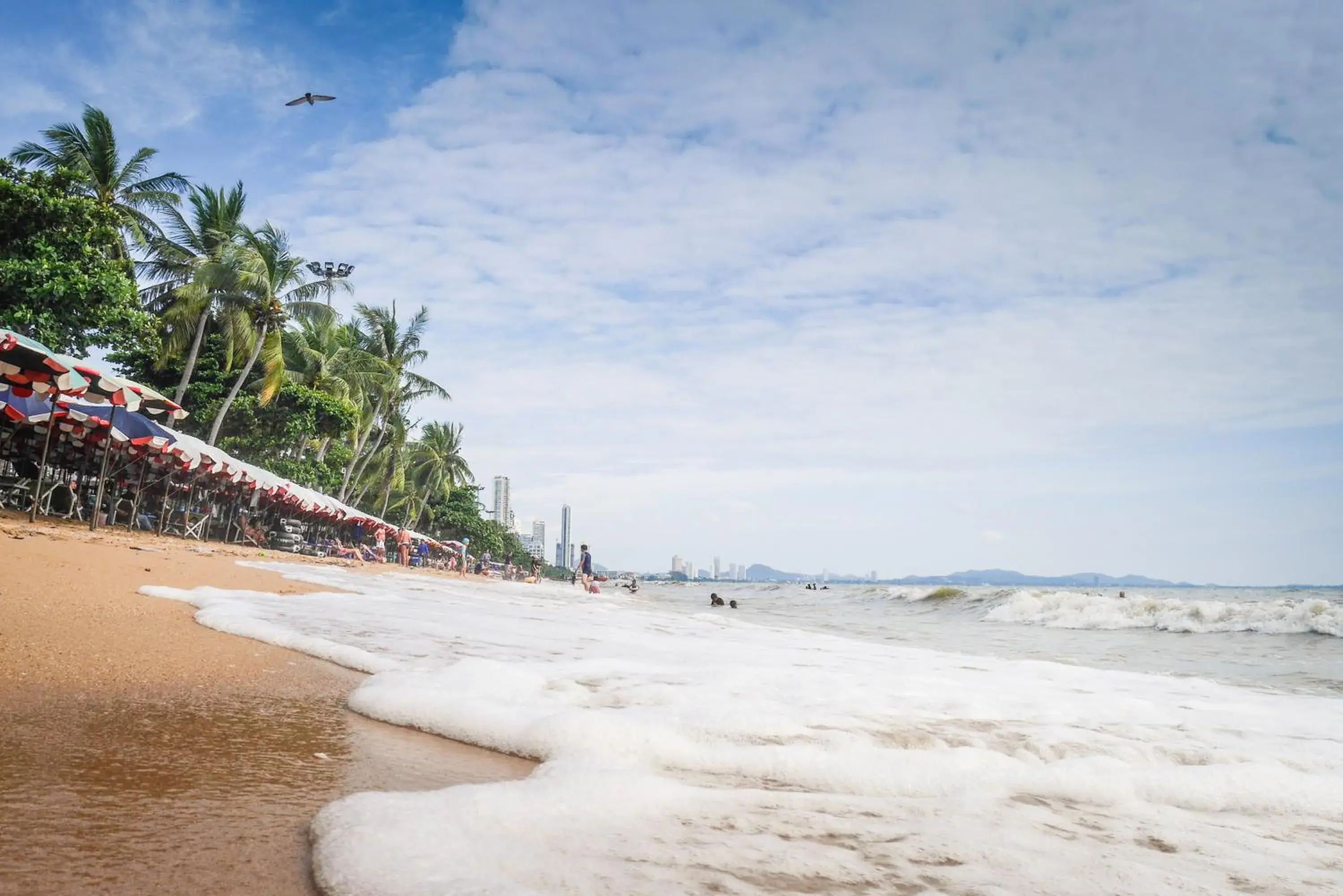 Beach, Natural Landscape in Villa Navin