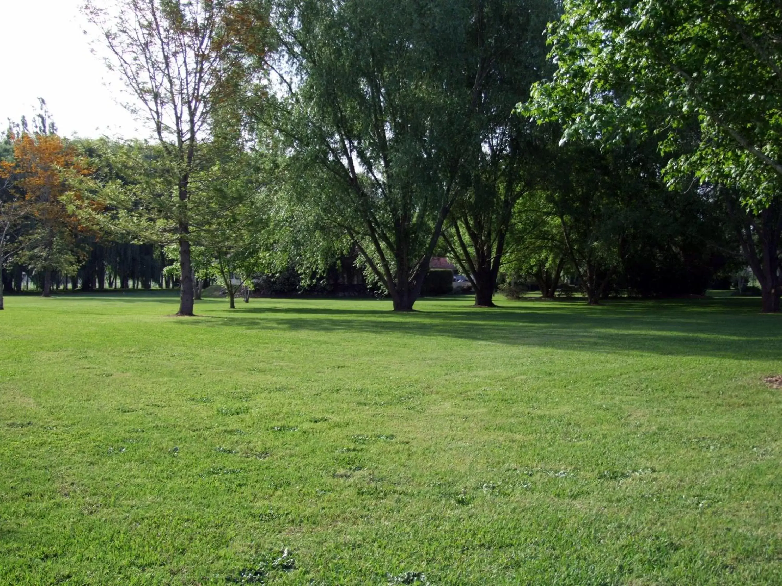 Garden in Moruya Motel