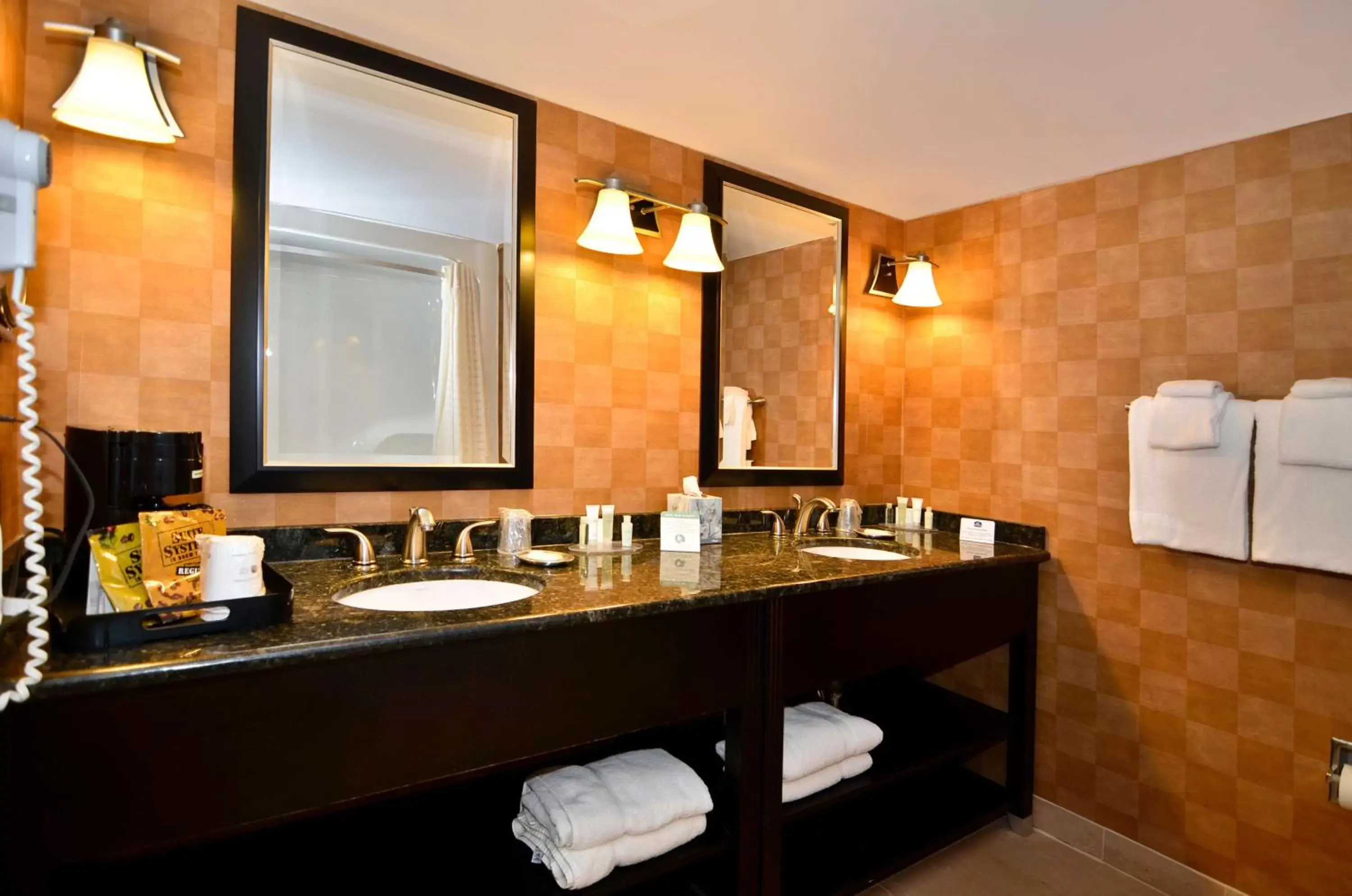 Bathroom in Best Western Plus BWI Airport Hotel - Arundel Mills