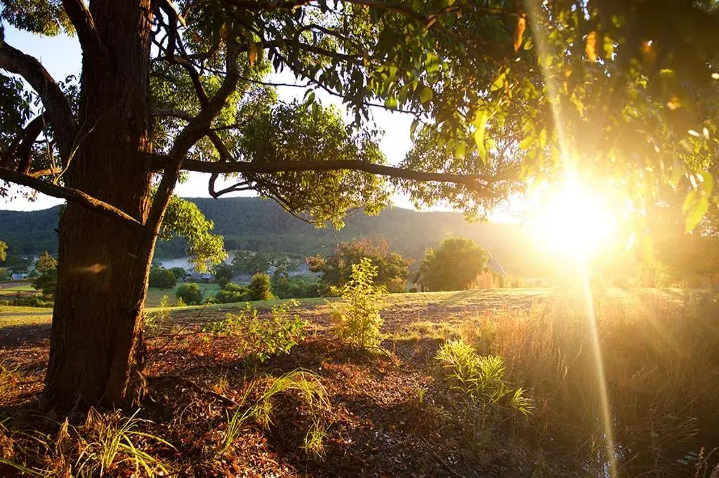 Sunset in Clarendon Forest Retreat