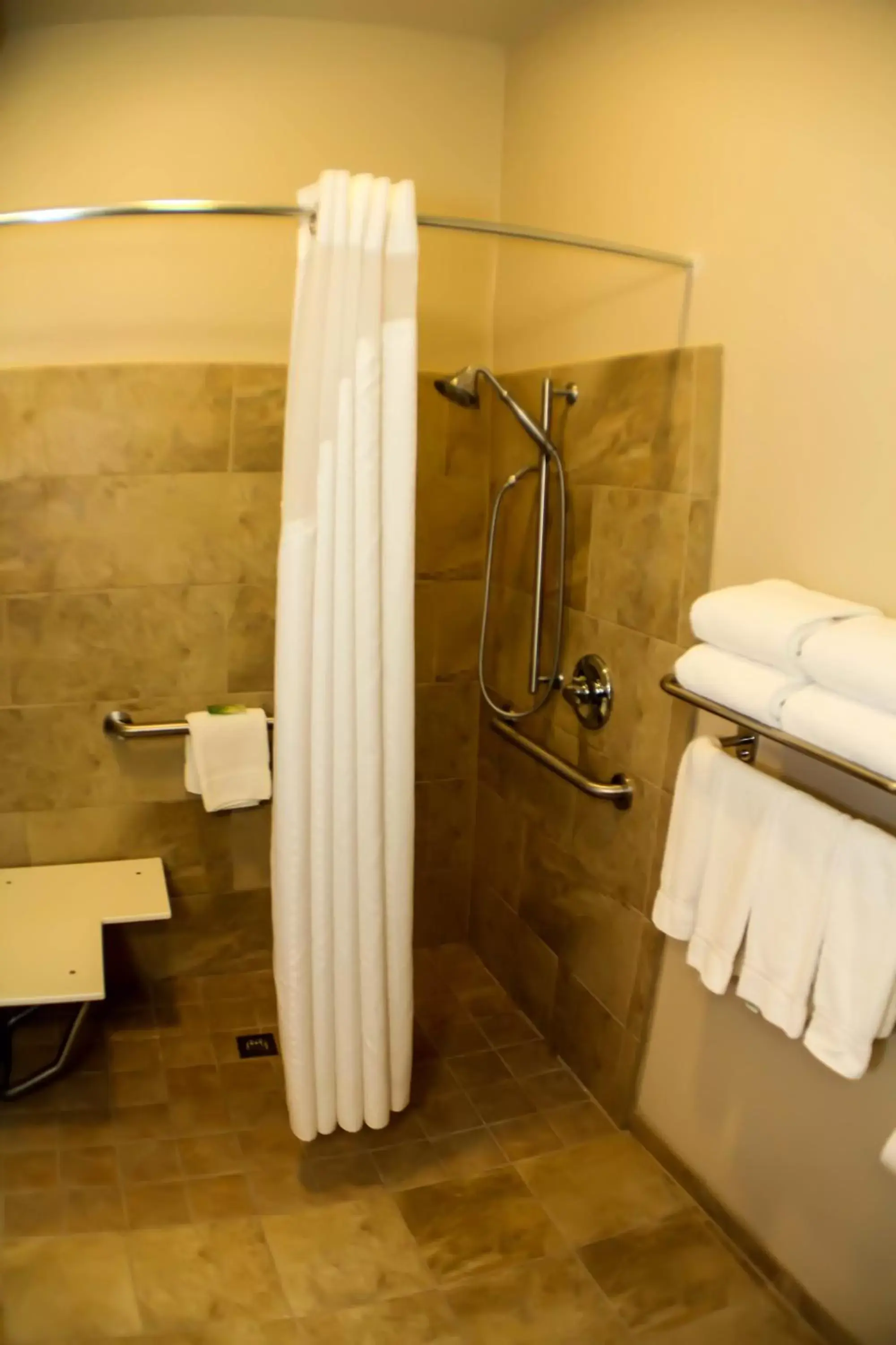 Bathroom in Holiday Inn Express & Suites Indianapolis North - Carmel, an IHG Hotel