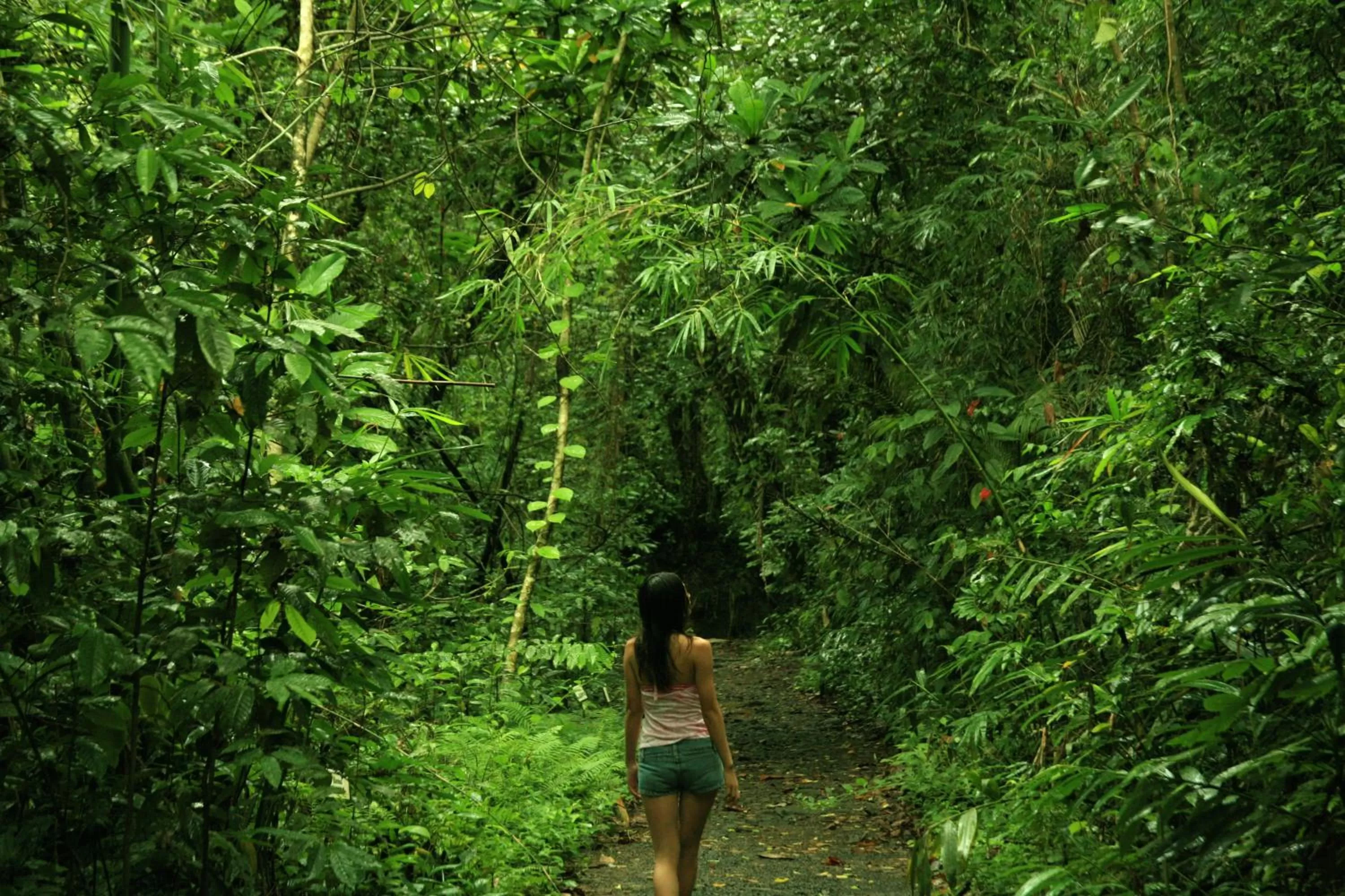 Hiking in Palau Pacific Resort & The Pristine Villas and Bungalows