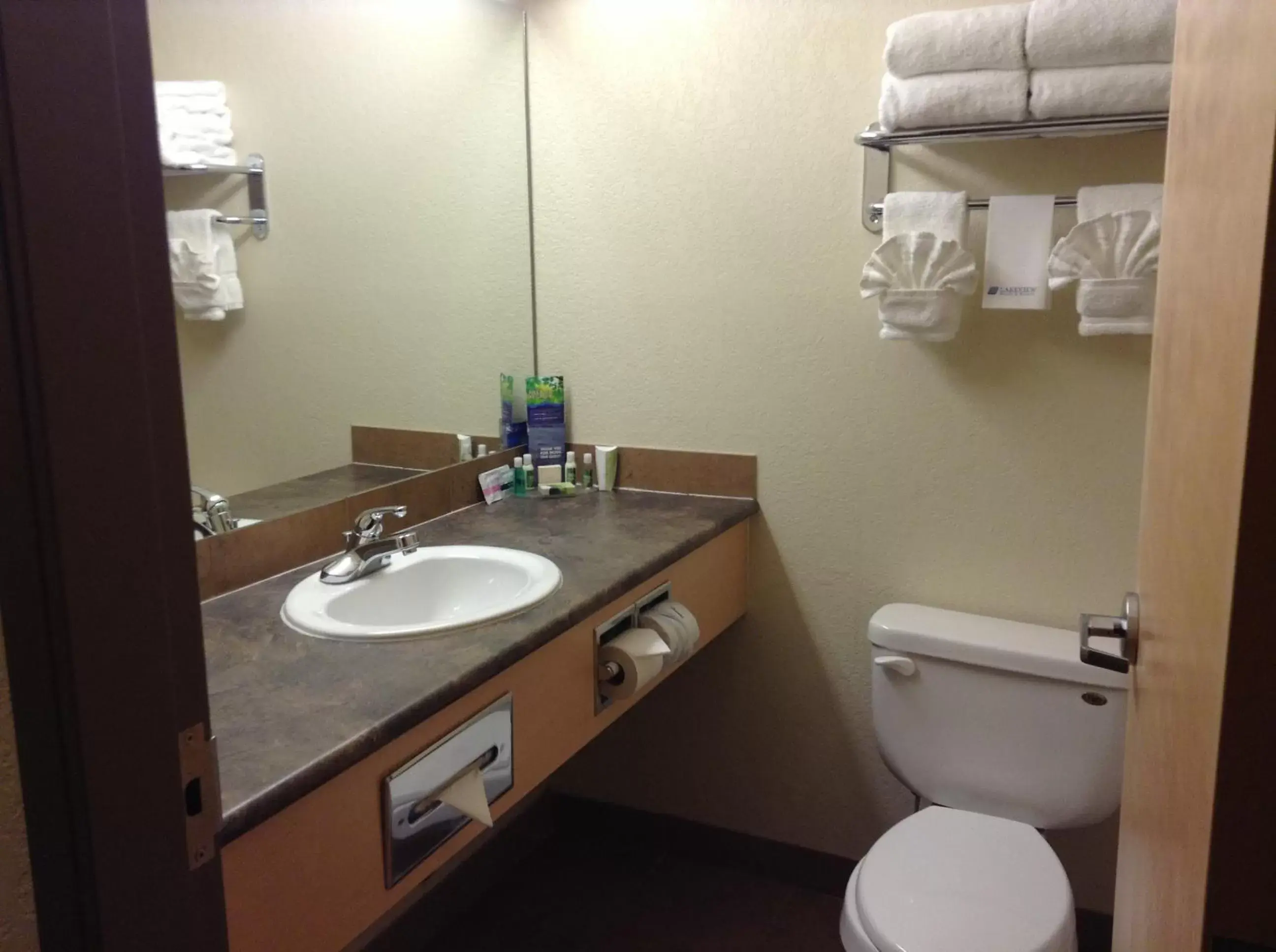 Bathroom in Lakeview Inns & Suites - Fort Nelson
