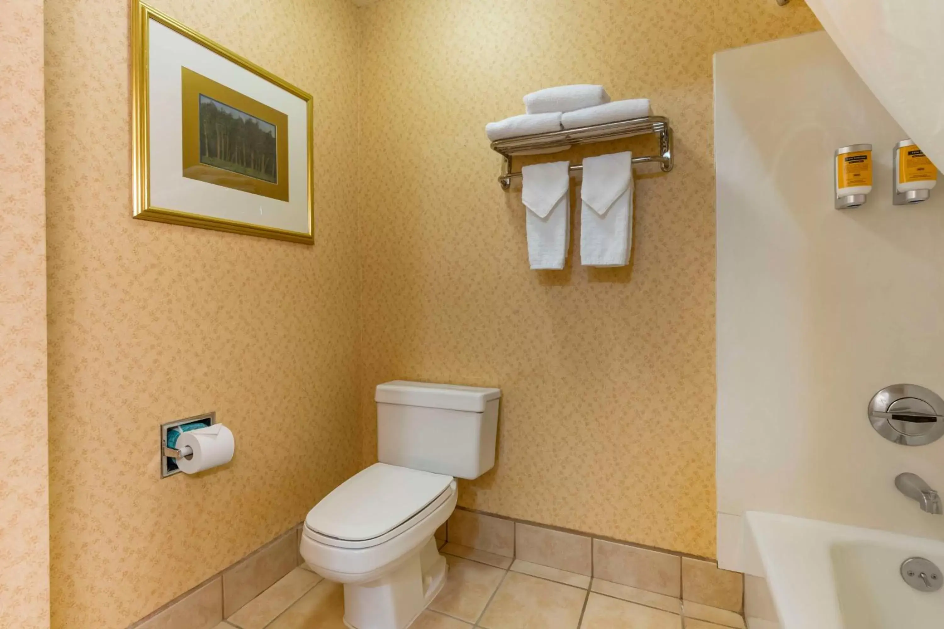 Bathroom in Best Western Plus Placerville Inn