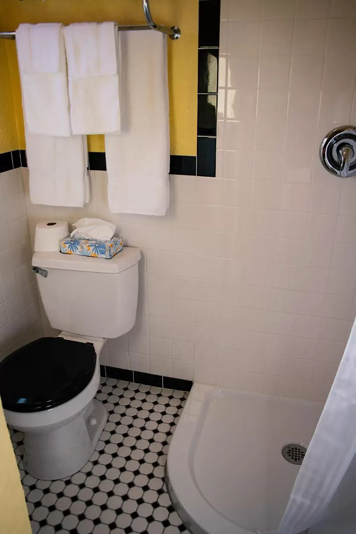 Bathroom in Rockwood Motor Court