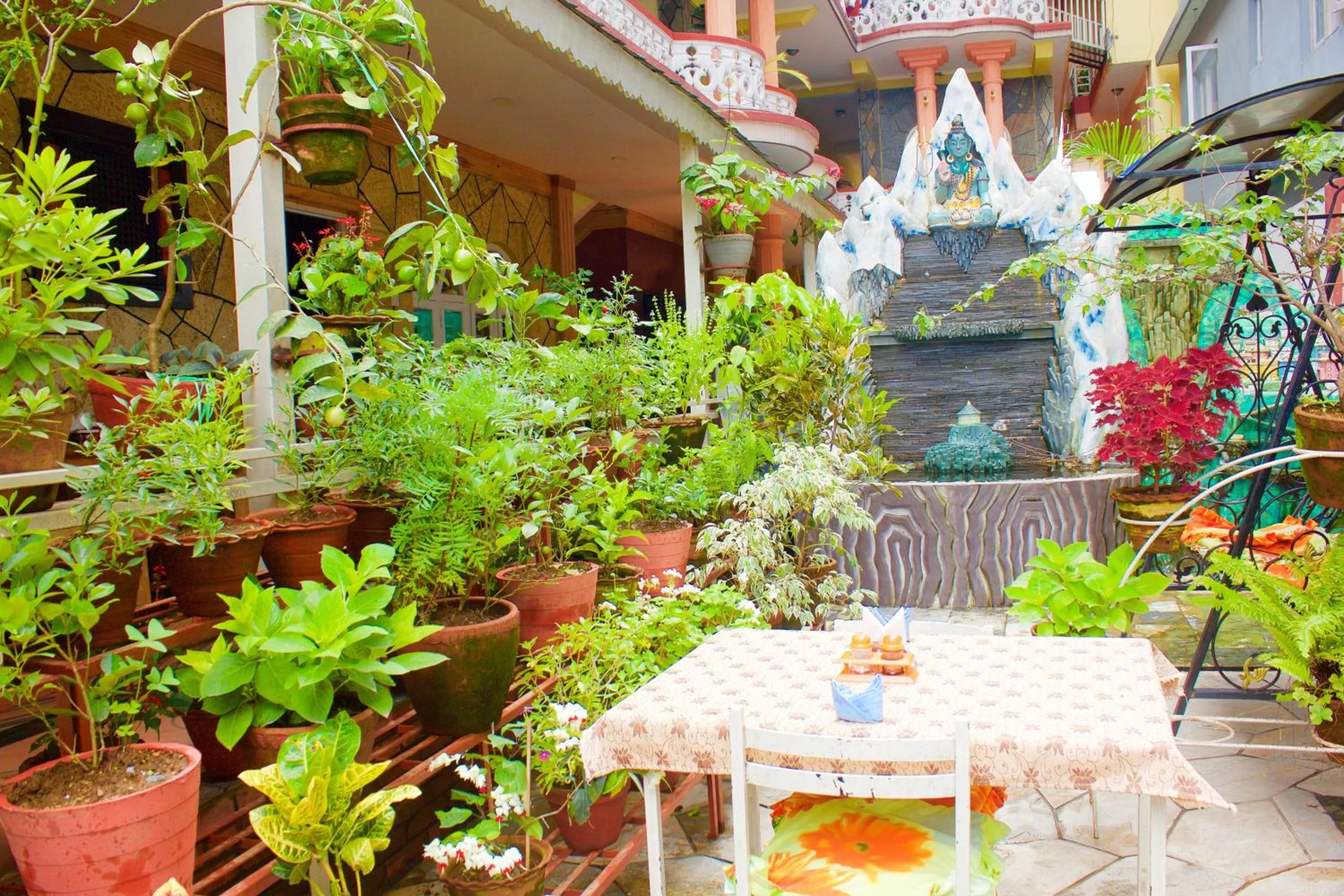 Garden in Hotel Himalayan Inn