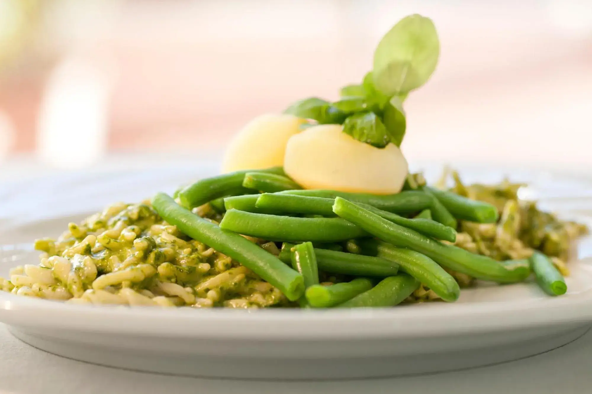 Restaurant/places to eat in Europa Hotel Design Spa 1877 Restaurant/places to eat in Europa Hotel Design Spa 1877